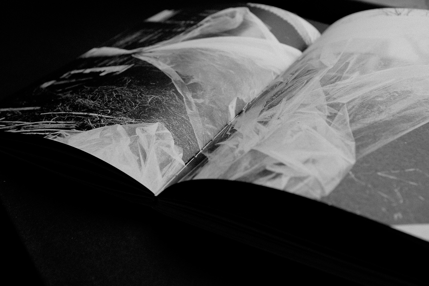 Круг земной. Колодозеро. Ekaterina Solovieva photographer