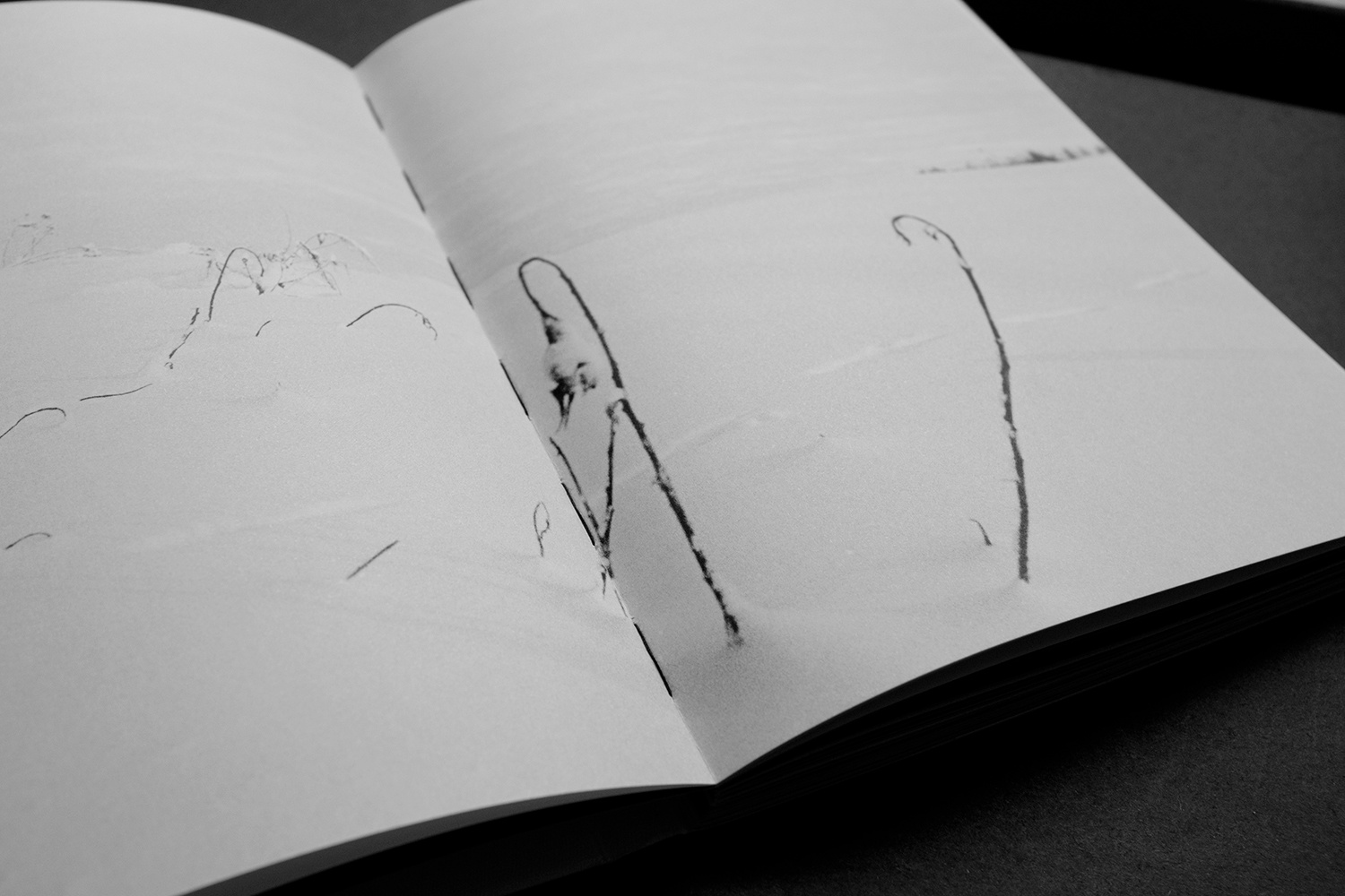 Круг земной. Колодозеро. Ekaterina Solovieva photographer