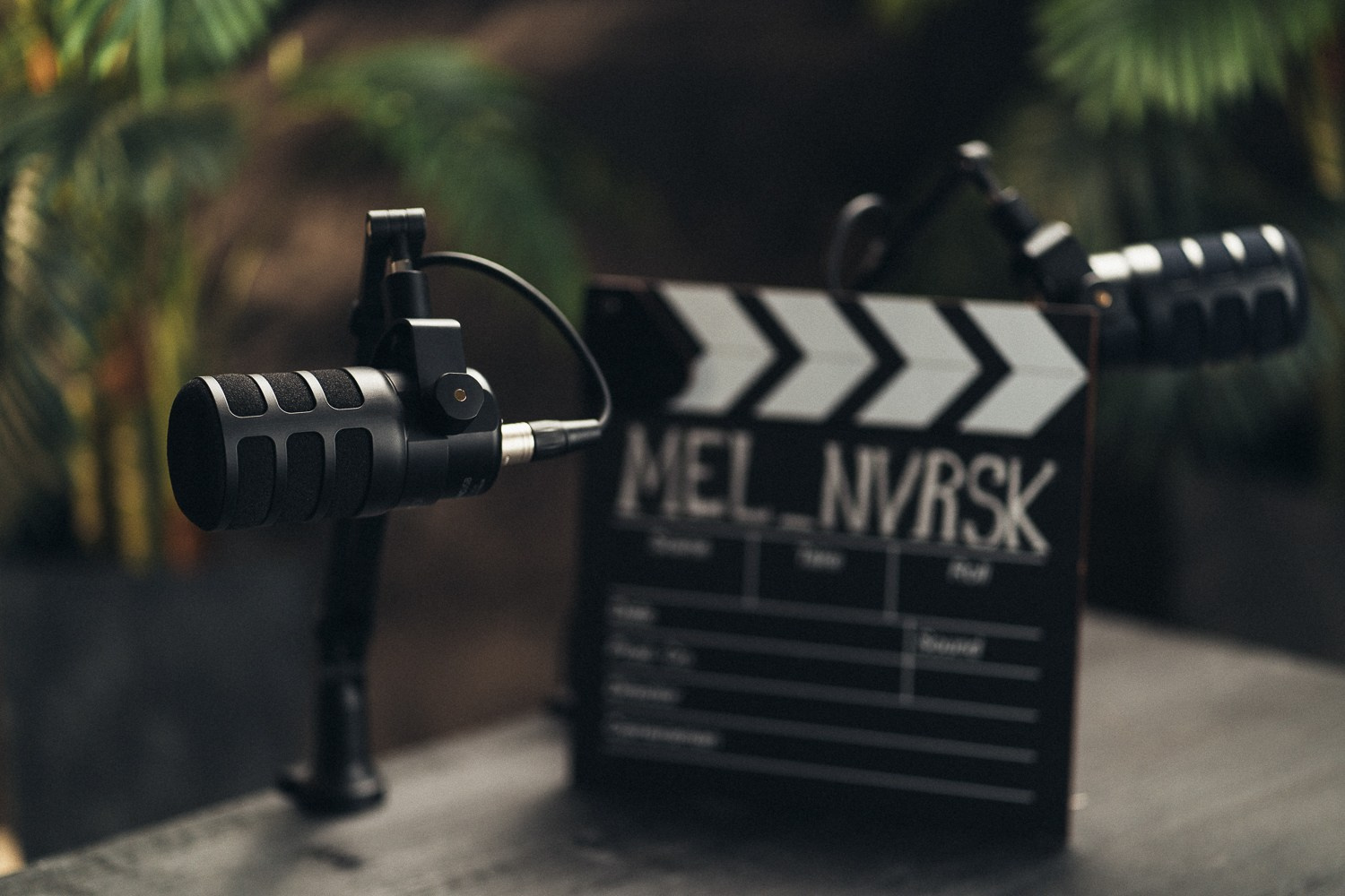 Фотостудия MEL Новороссийск | Подкаст-студия