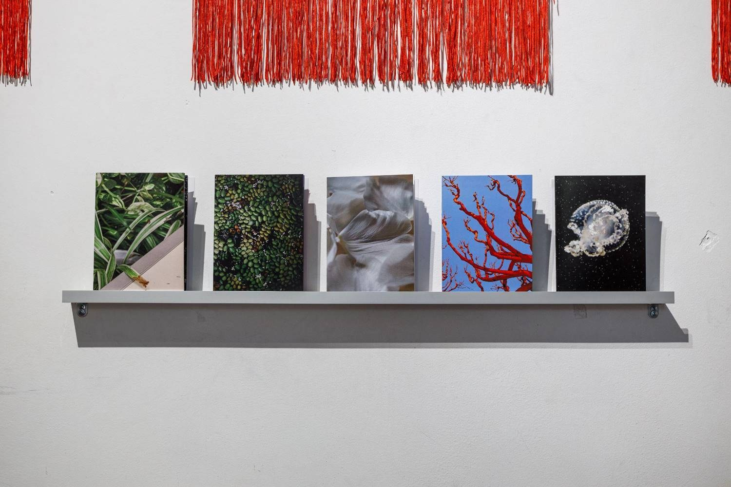 Источник. Наталия Шульгина — визуальный художник, фотограф