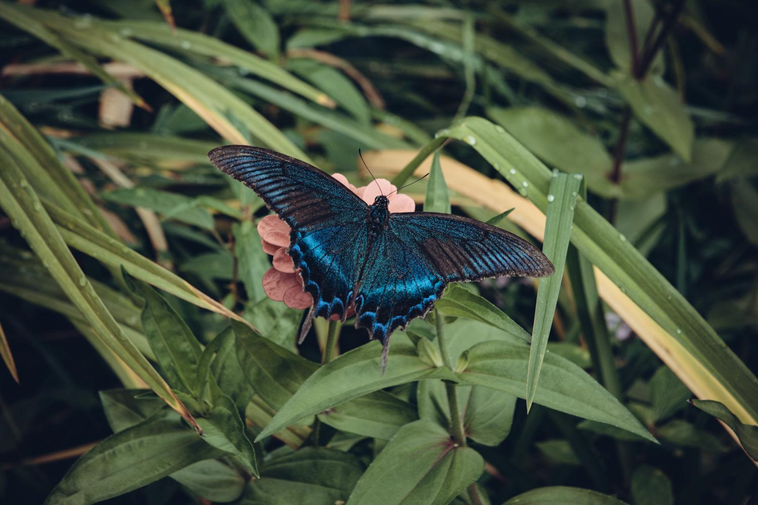 Санаторий Уссури - забыт и заброшен. Фотограф в Хабаровске Антон Курдюмов FOTO-27.RU