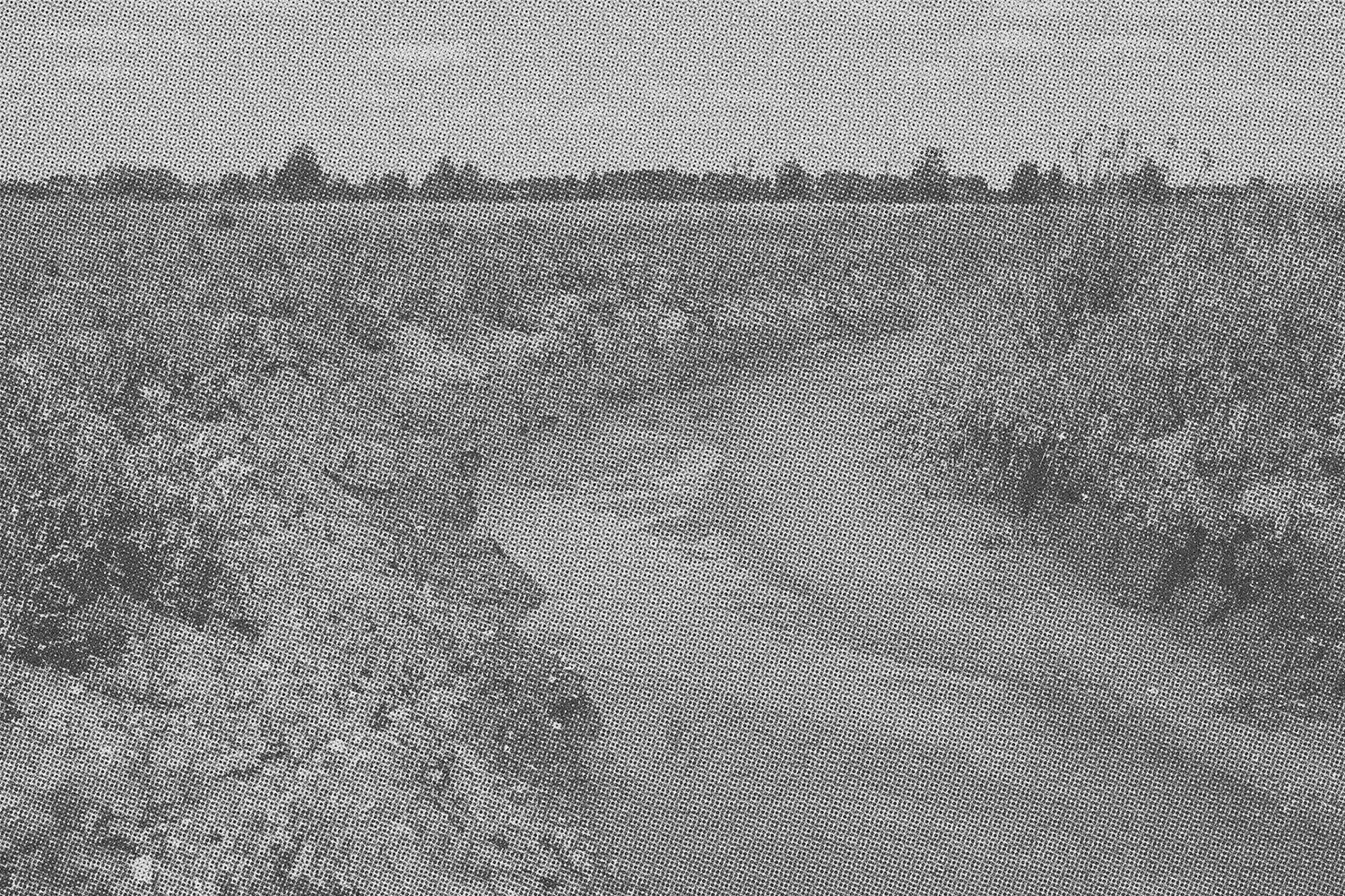 Интервью с Сергеем Потеряевым: ''Организовать свою выставку можно всег