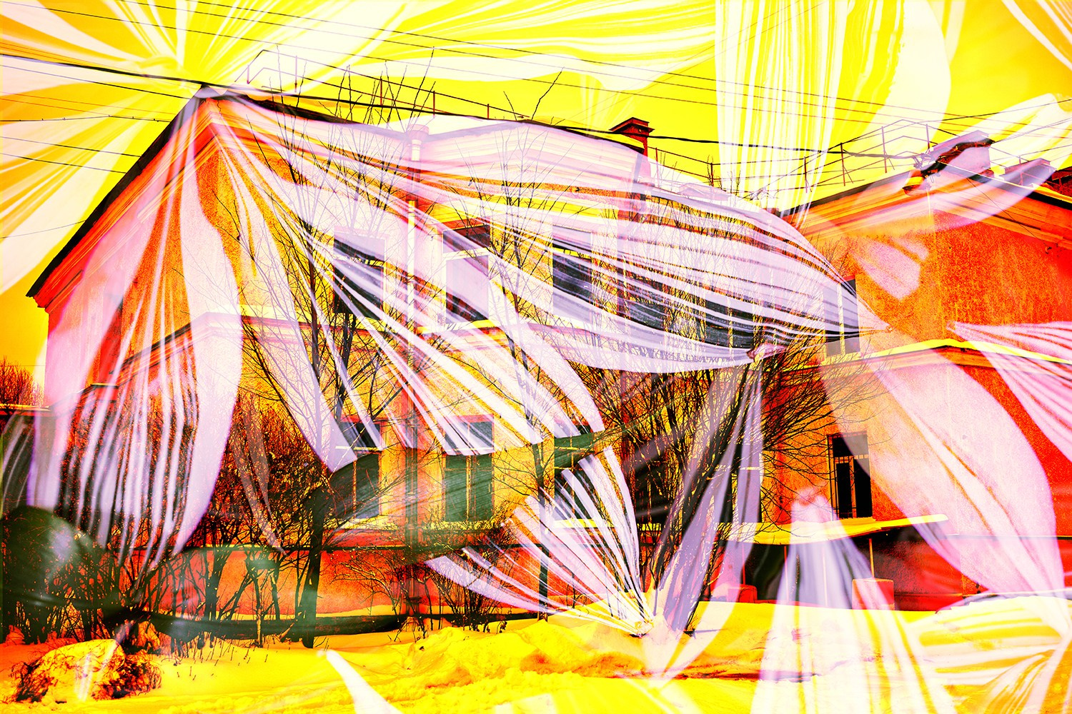 Лаборатория Нарвская застава