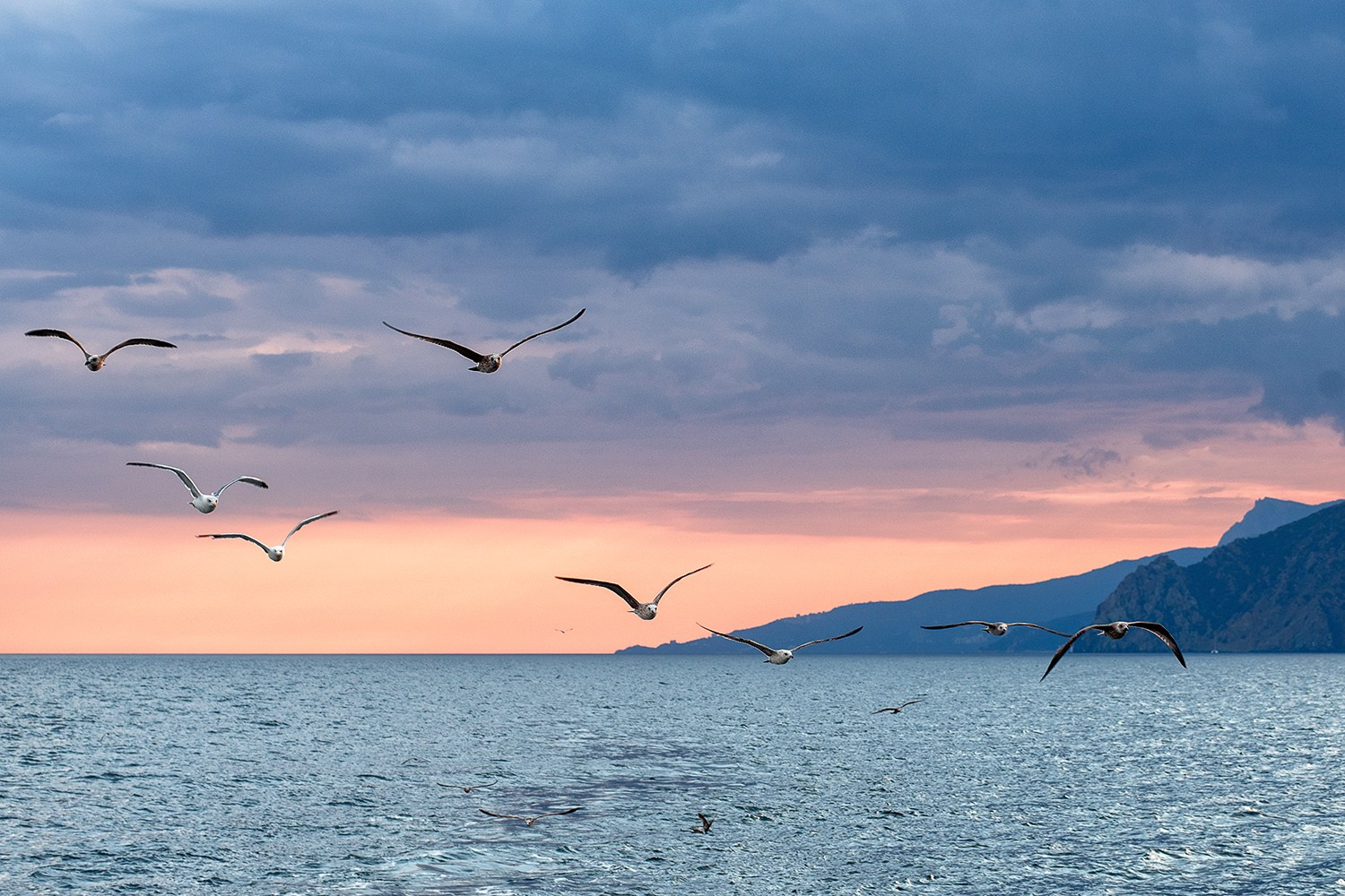 Фотограф Сергей Мосевнин