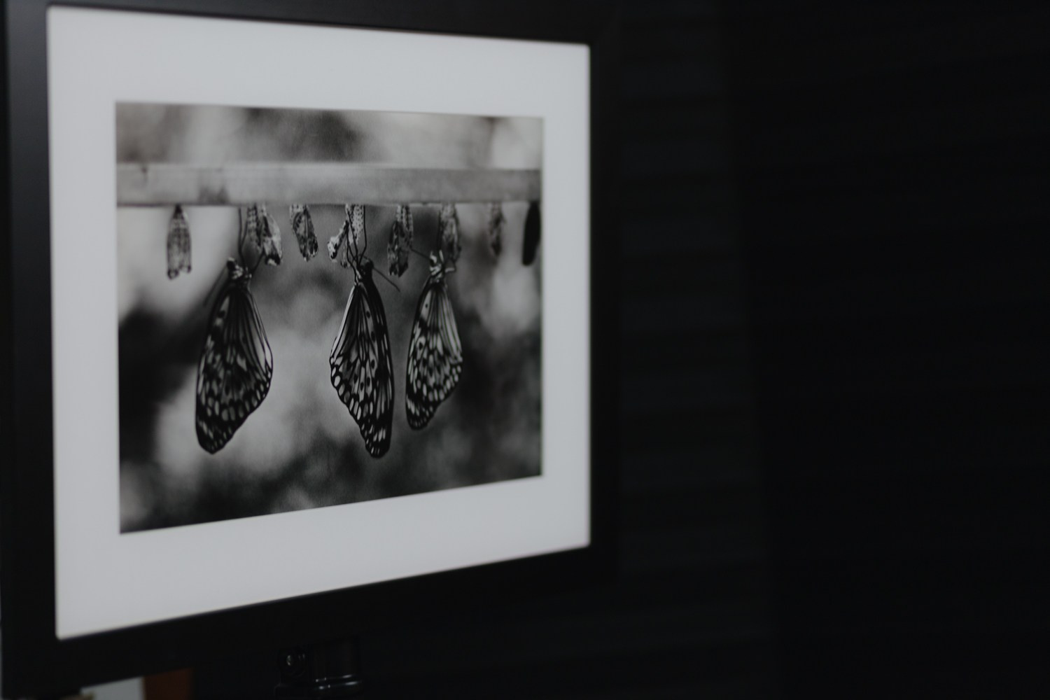 Мастер класс по плёночной фотографии. Рекламный и коммерческий фотограф | Георгий Романов