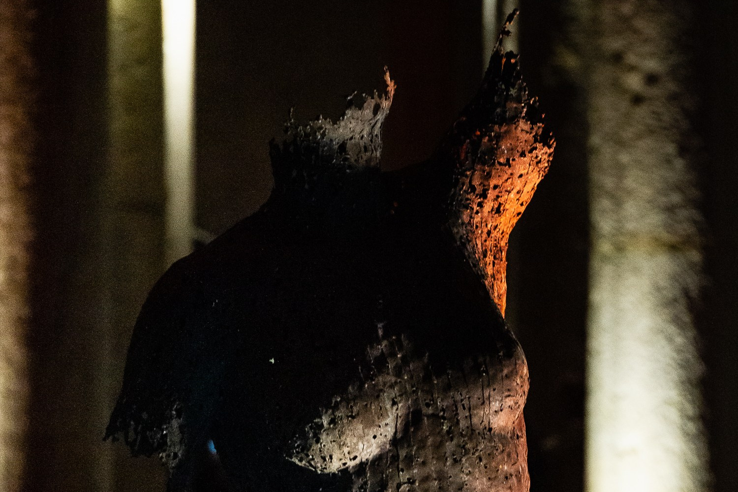 Профессиональная интерьерная фотосъемка в Санкт-Петербурге. Интерьерный  фотограф Сергей Пушкин. Фотоуслуги для бизнеса и частных лиц. Сотрудничество с рекламными агенствами и блогерами. Фотосессия для галерей, ресторанов, арт-центров и пространств. Фотосъемка недвижимости для аренды и продажи квартир и коммерческих помещений.