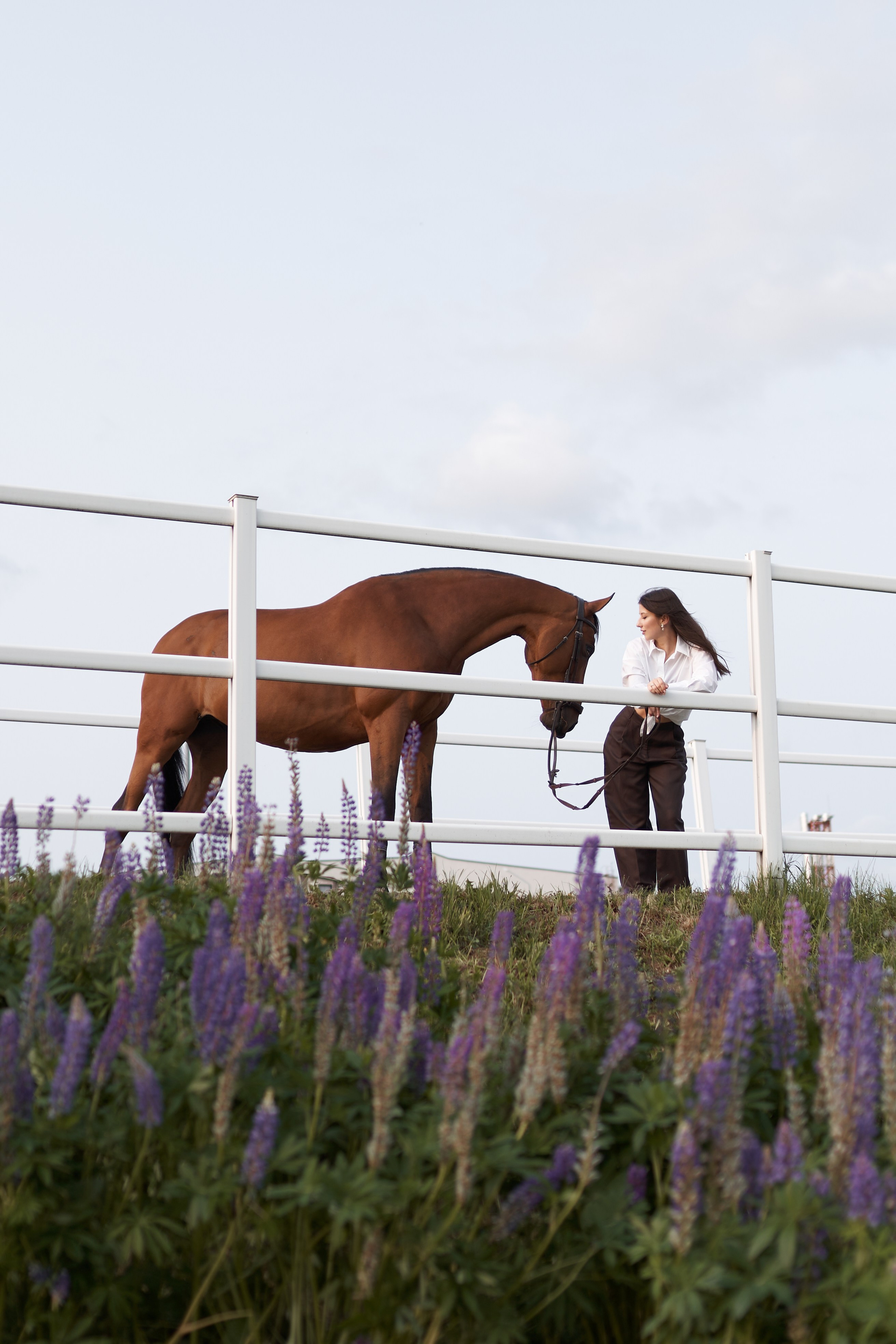 Цены. Фотосессии с лошадьми в Москве, Новосибирске