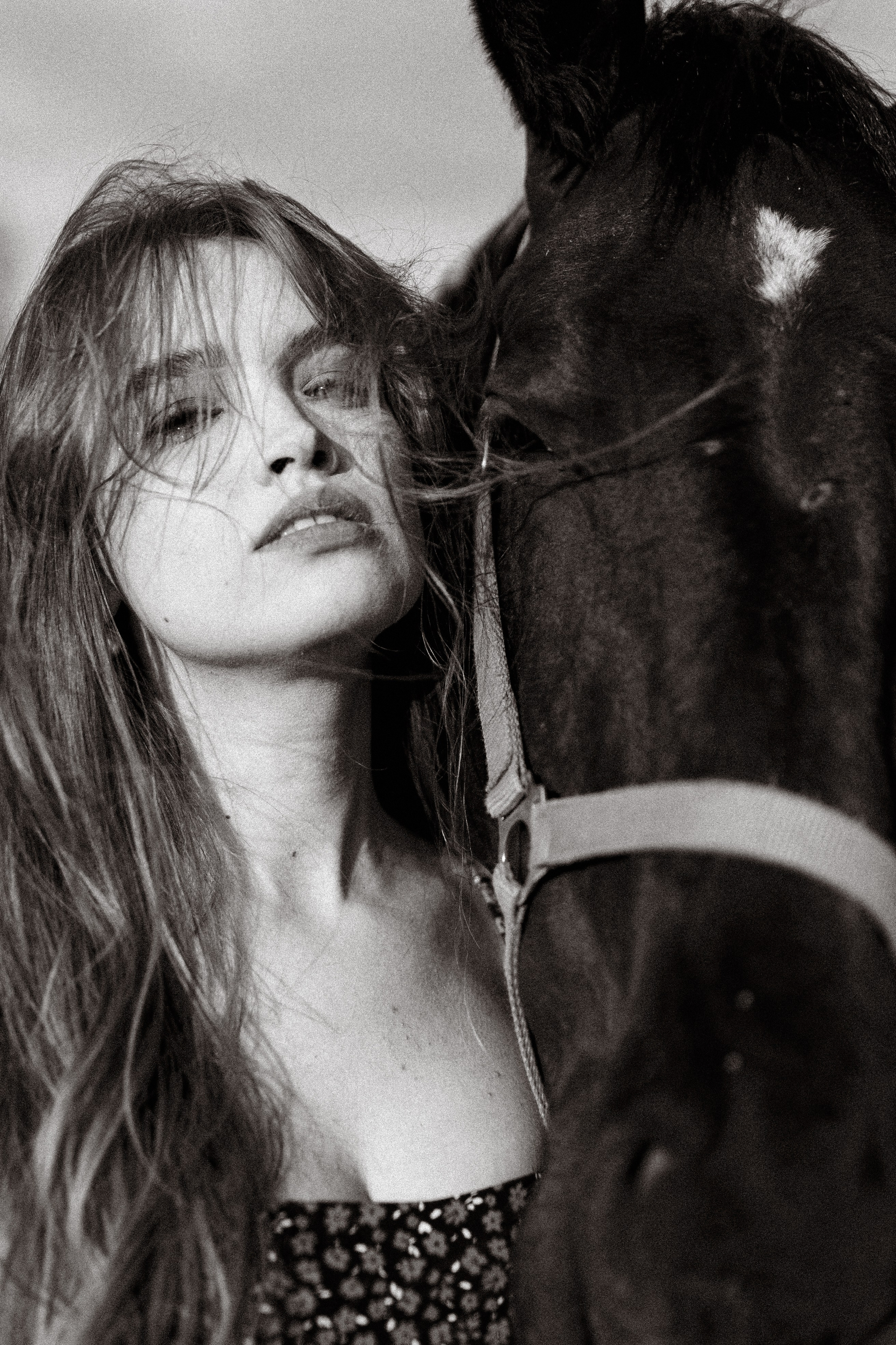 Цены. Фотосессии с лошадьми в Москве, Новосибирске