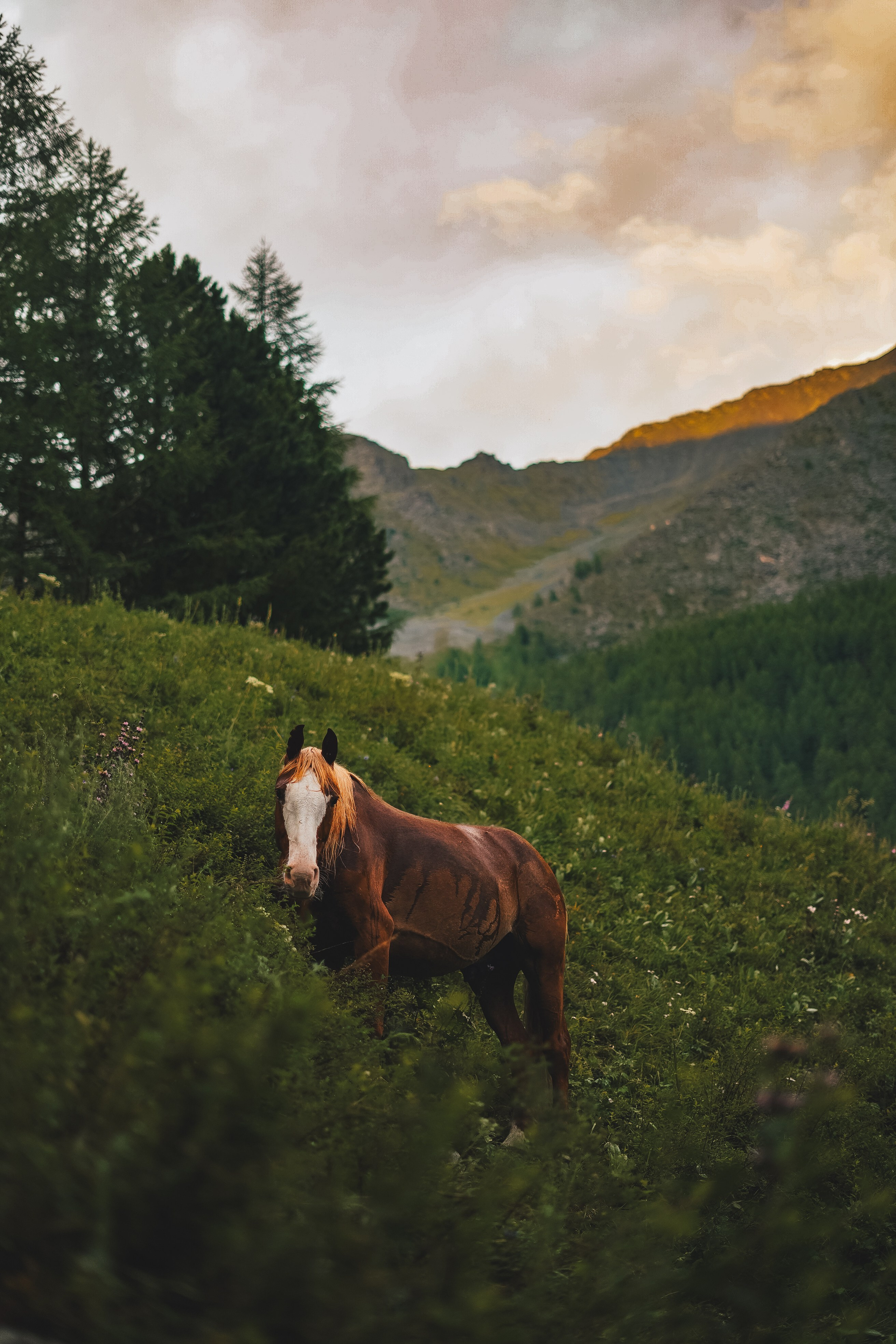 Выбираем гида для похода в горы. Фотограф Ольга Пучкова