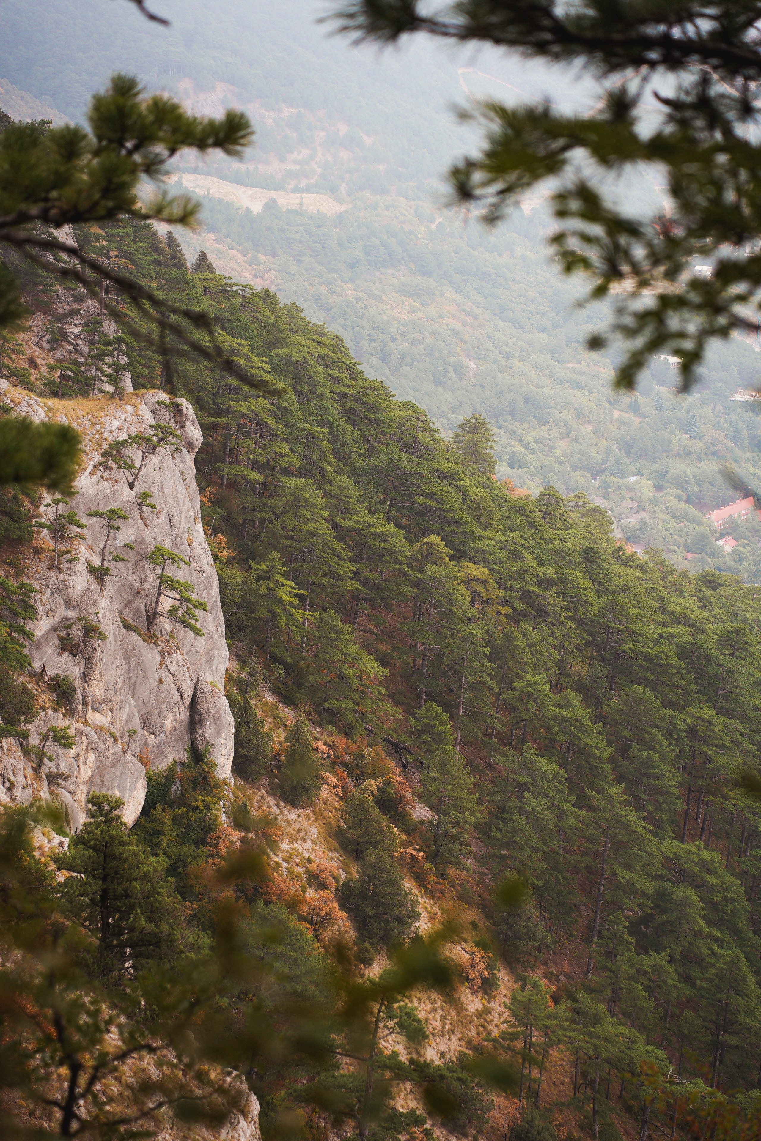 Боткинская тропа. Фотограф из Москвы — DASHA NOVA | Авторская фотография в разных жанрах