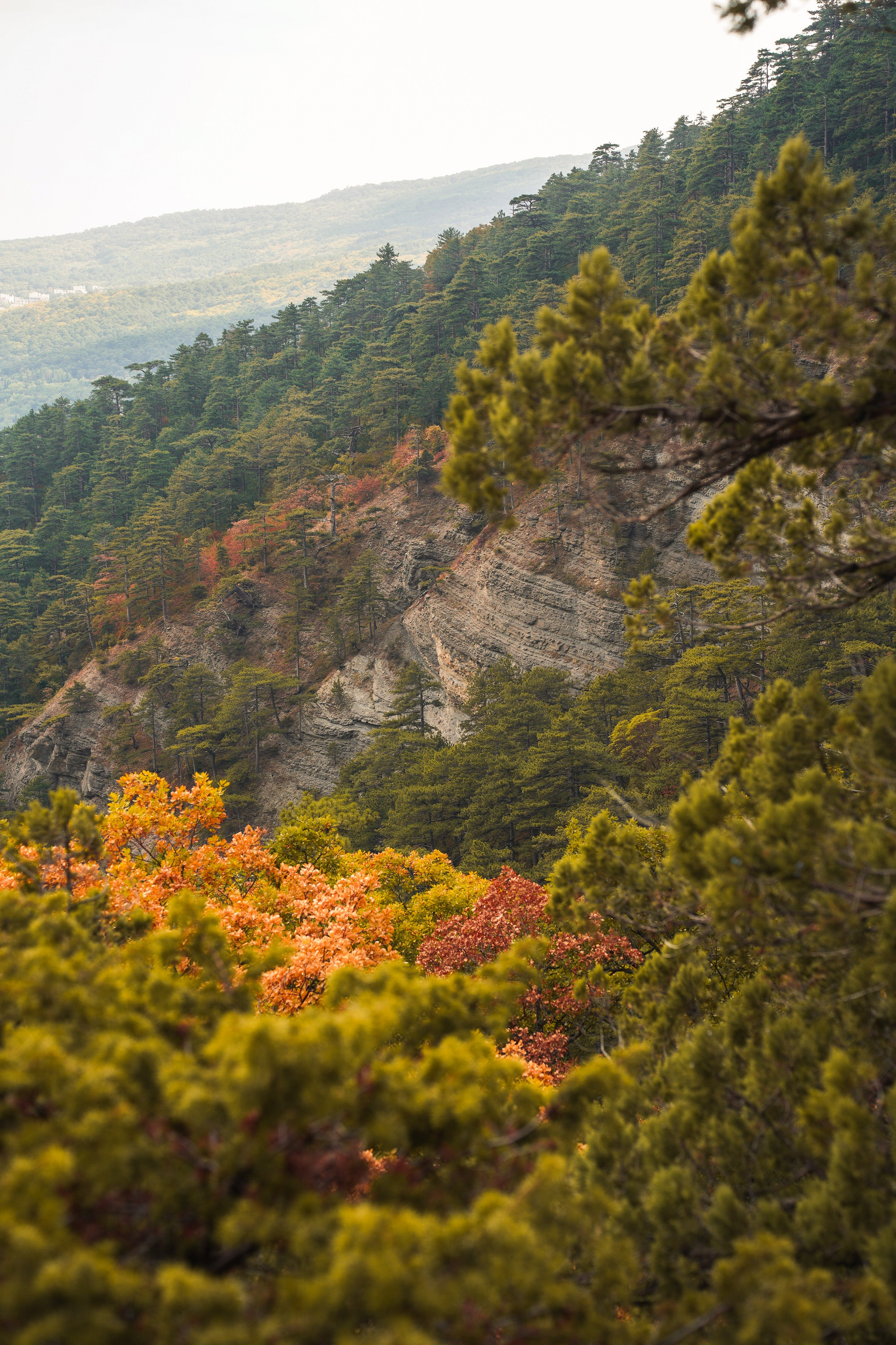Боткинская тропа. Фотограф из Москвы — DASHA NOVA | Авторская фотография в разных жанрах