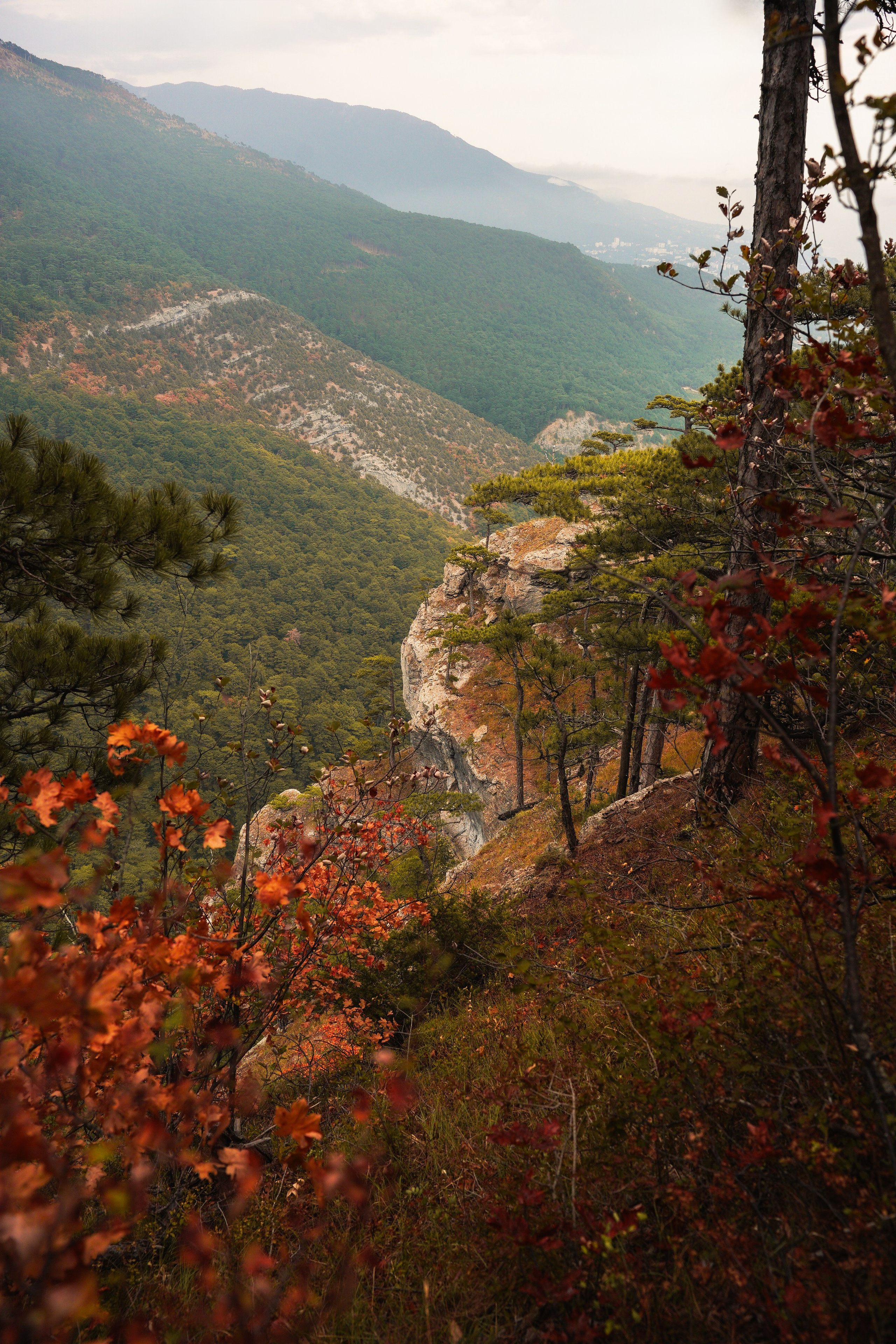 Боткинская тропа. Фотограф из Москвы — DASHA NOVA | Авторская фотография в разных жанрах