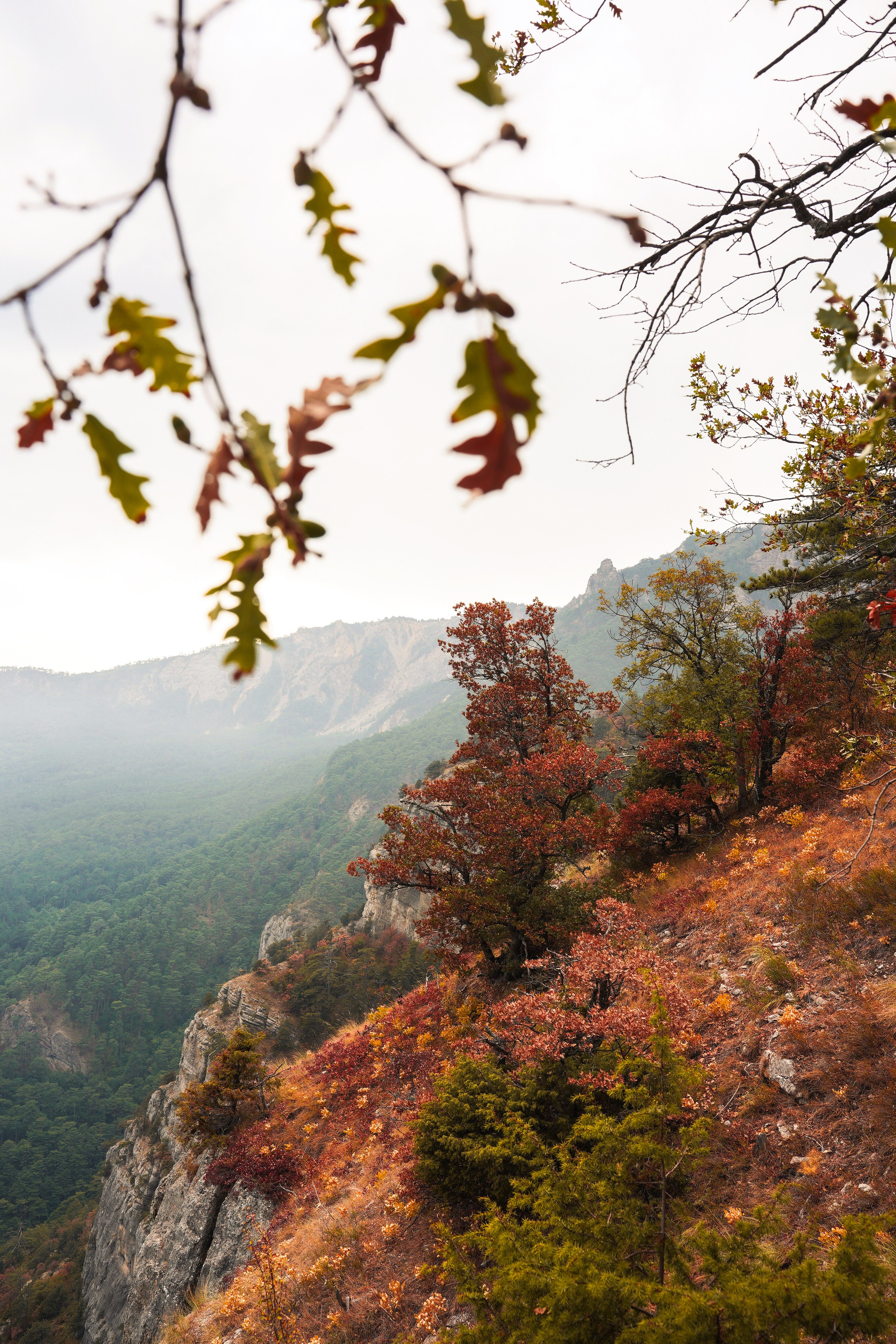 Боткинская тропа. Фотограф из Москвы — DASHA NOVA | Авторская фотография в разных жанрах