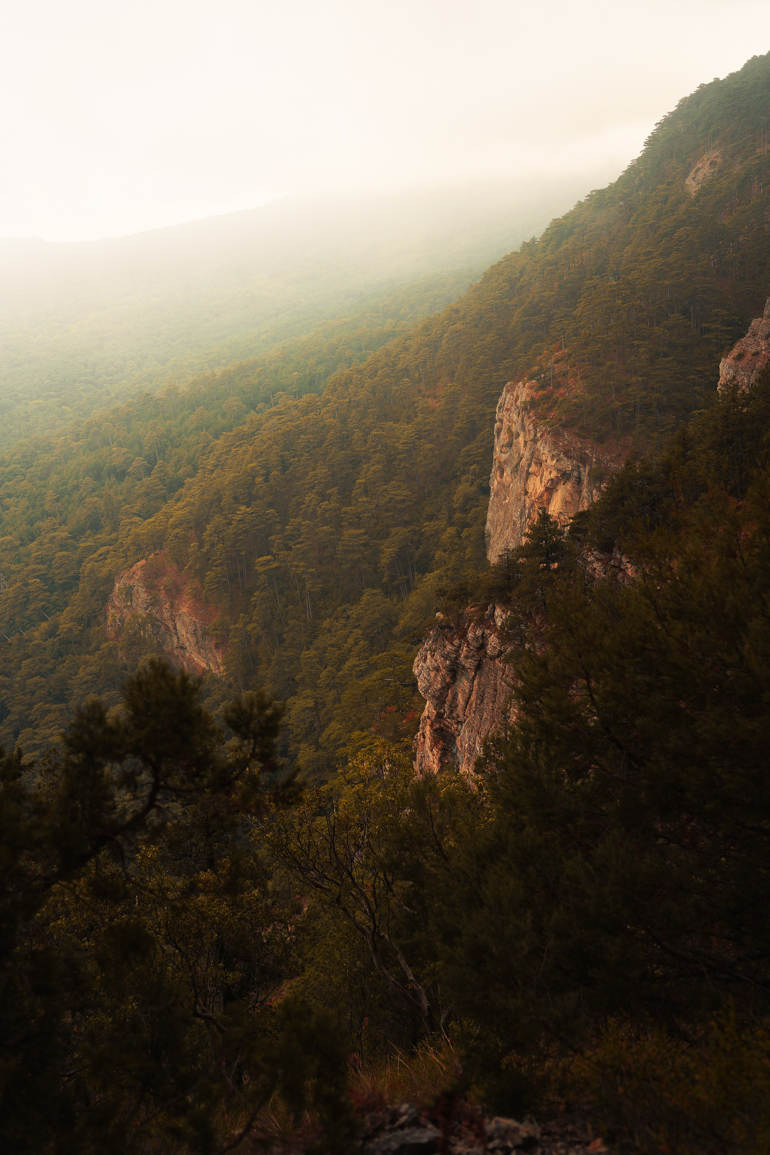 Боткинская тропа. Фотограф из Москвы — DASHA NOVA | Авторская фотография в разных жанрах