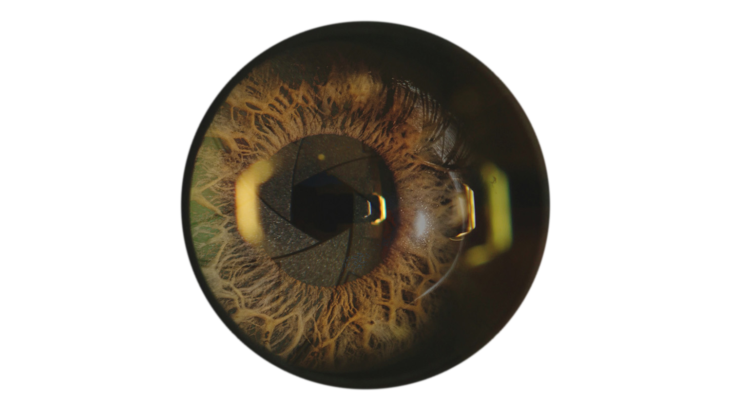 Архитектурный фотограф и 3D-художник Антон Мельников