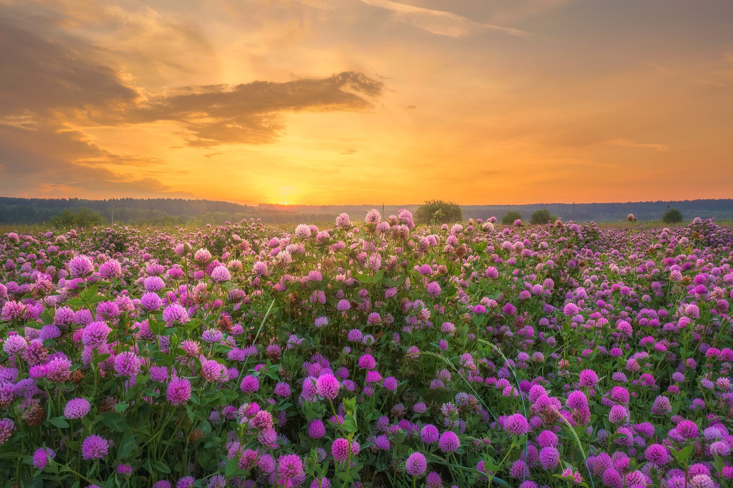 Городской пейзаж и архитектура от фотографа Александра Быстрова