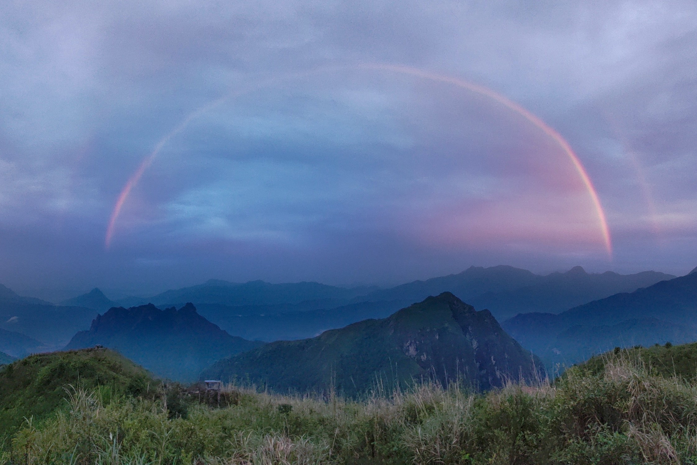 Begomvprofcom.wfolio.pro