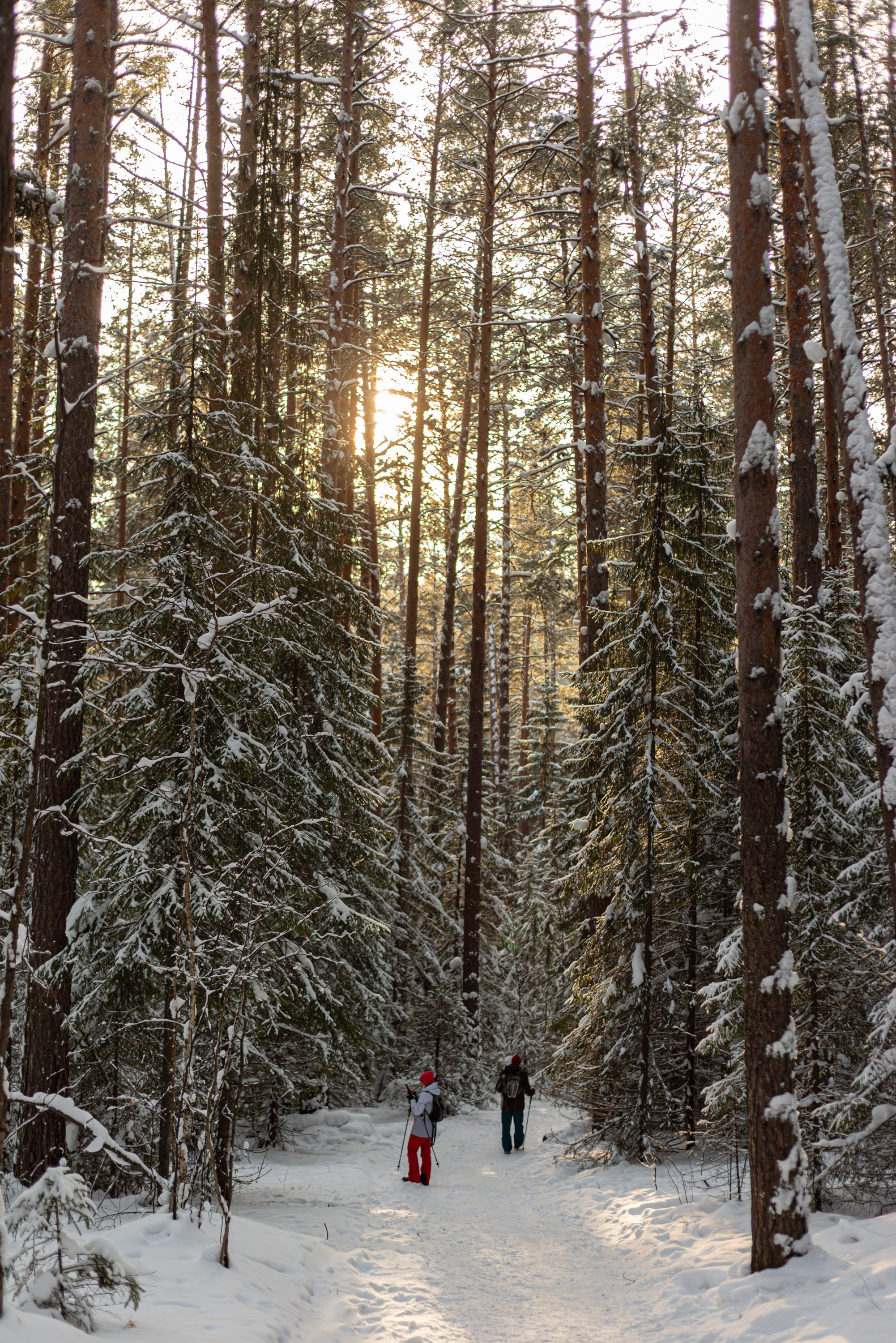 Чертово городище. Исеть. Начинающий фотограф-любитель Евгений Серебряков в Екатеринбурге