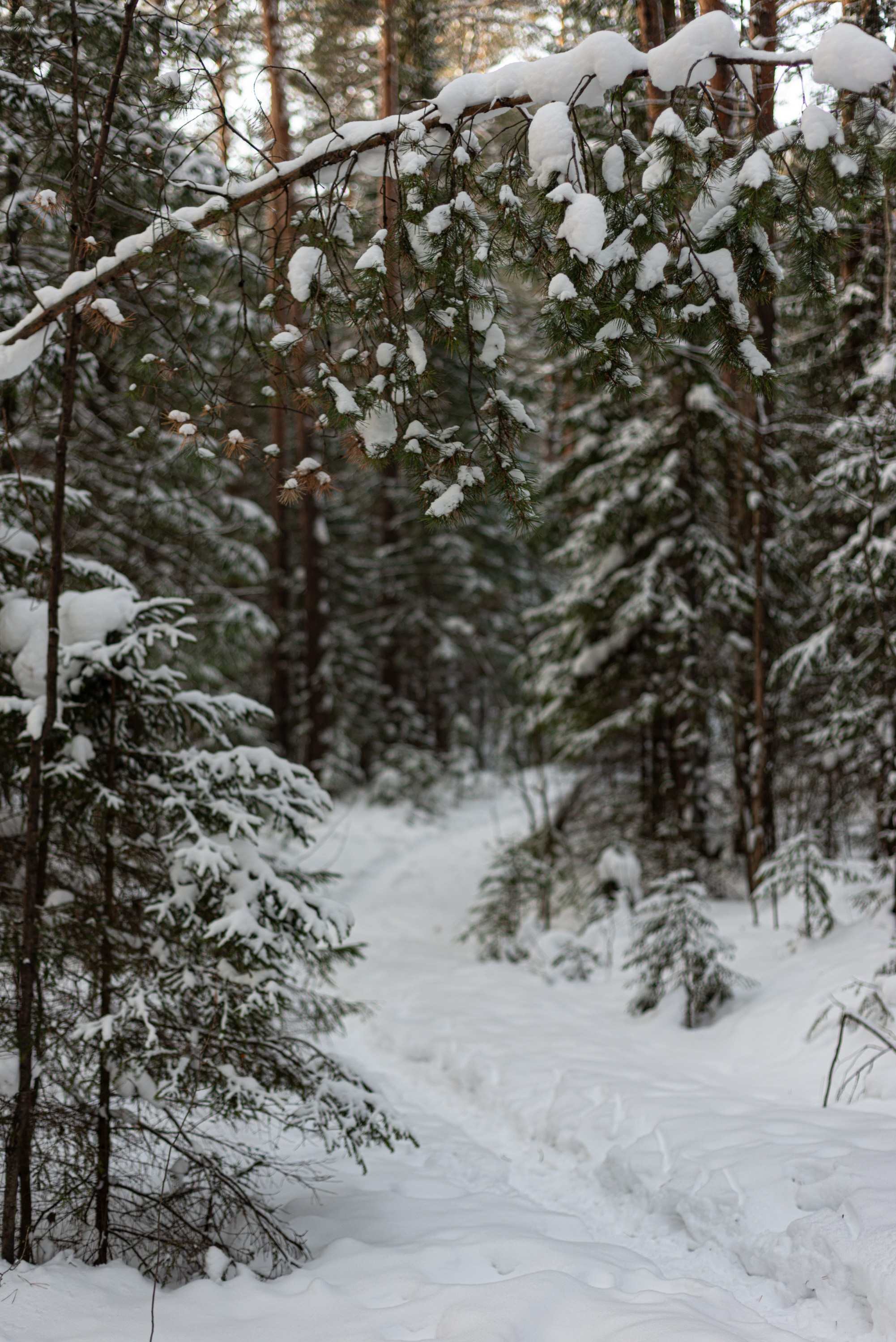 Чертово городище. Исеть. Начинающий фотограф-любитель Евгений Серебряков в Екатеринбурге