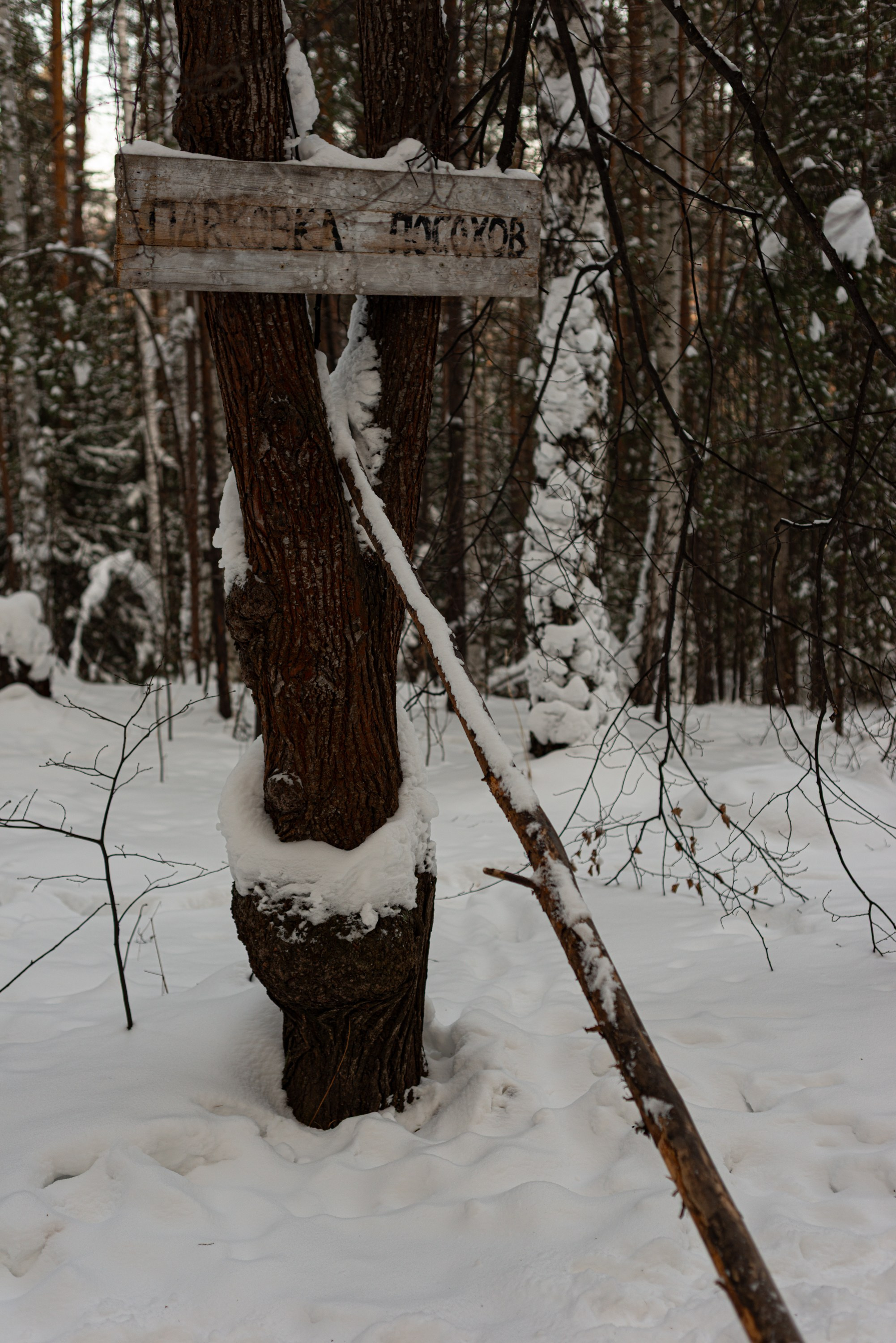 Чертово городище. Исеть. Начинающий фотограф-любитель Евгений Серебряков в Екатеринбурге