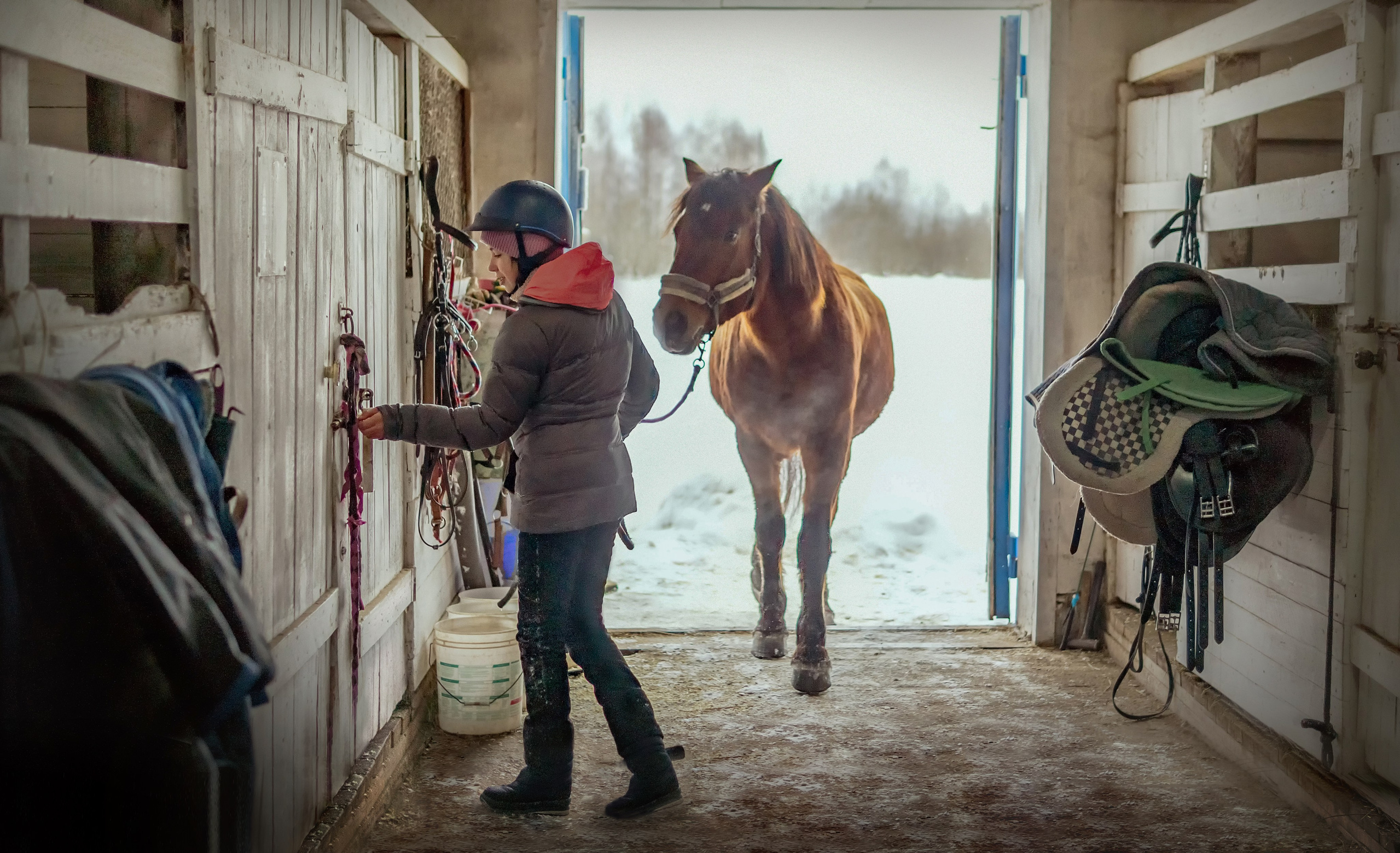 Конноспортивная школа Добрый конь город Белоозерский