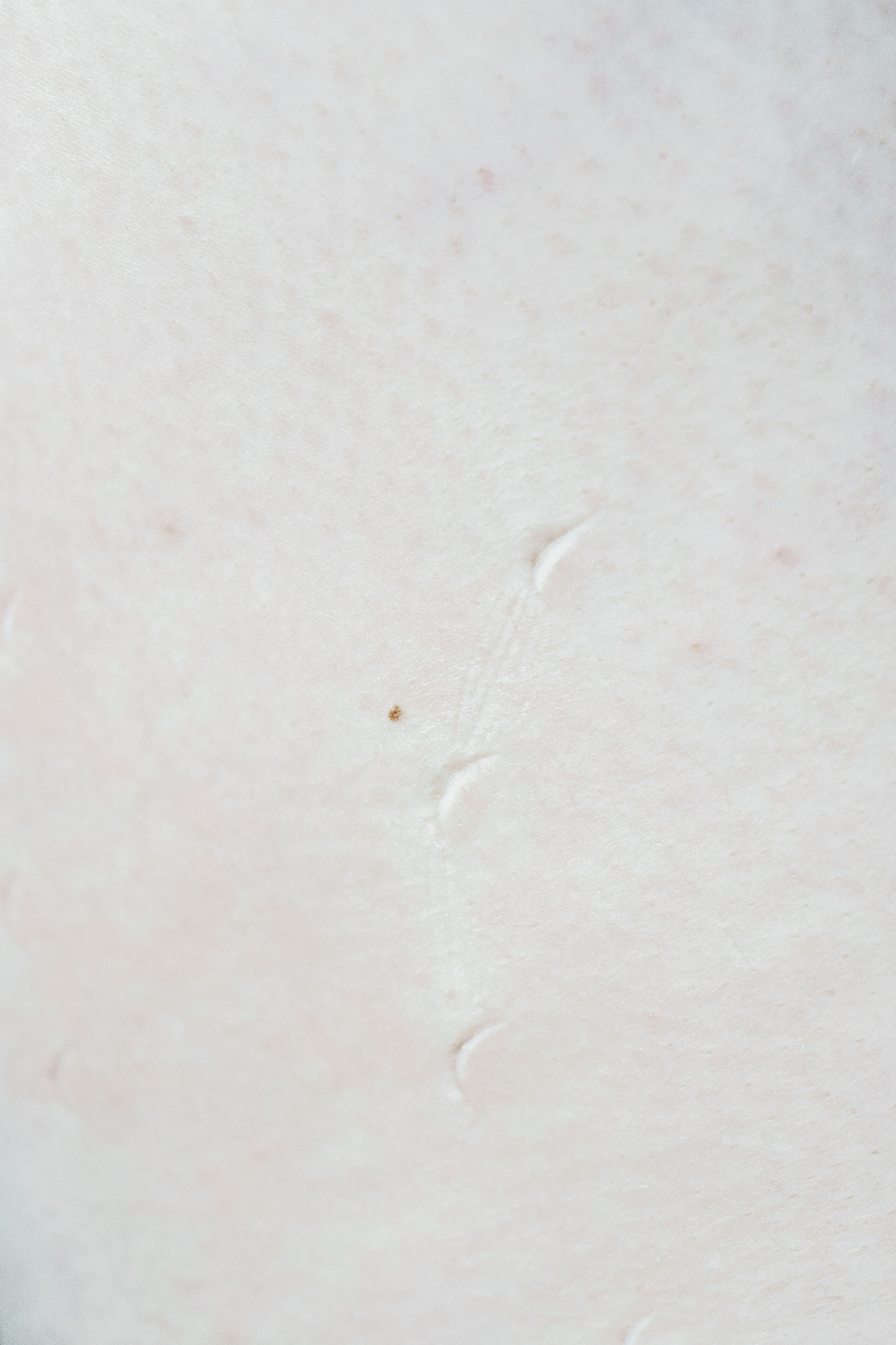 Эффект присутствия. Козлова Екатерина. Междисциплинарная визуальная художница