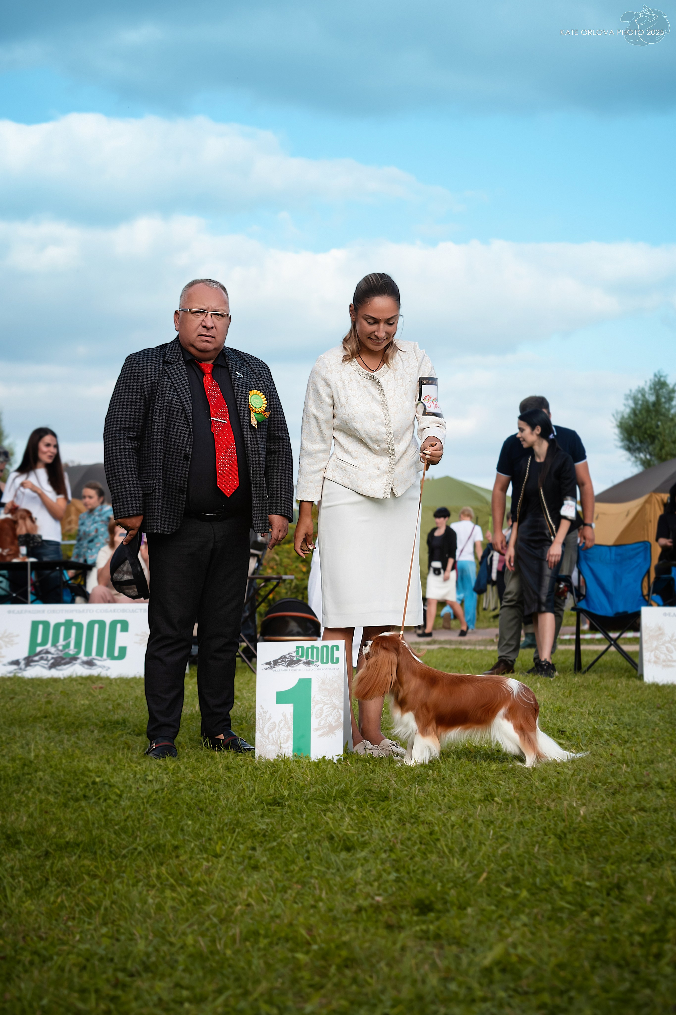 Выставки. Питомник кавалер кинг чарльз спаниелей