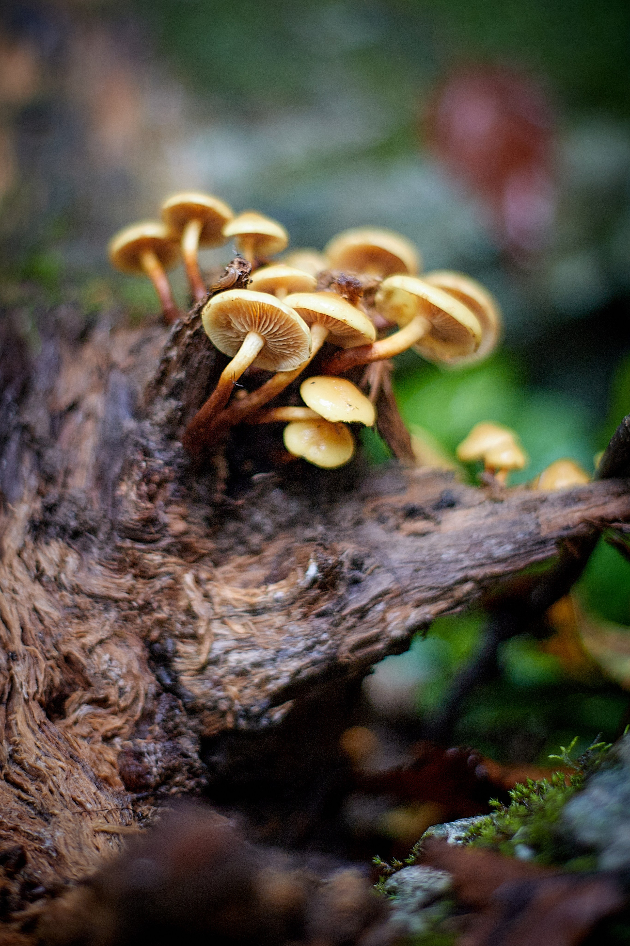 Фотограф в Южно-Сахалинске Гусаков Евгений