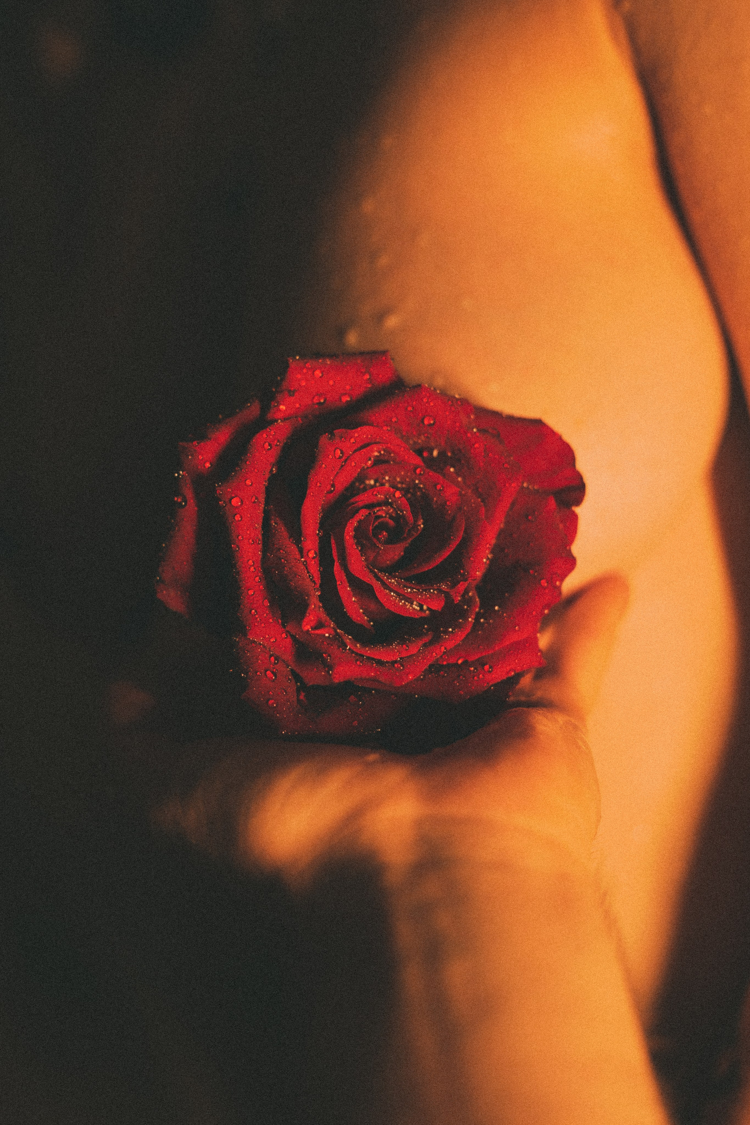 Ню и Арт-ню фотосессии | Фотограф Павел Пикулин | Ростов-на-Дону