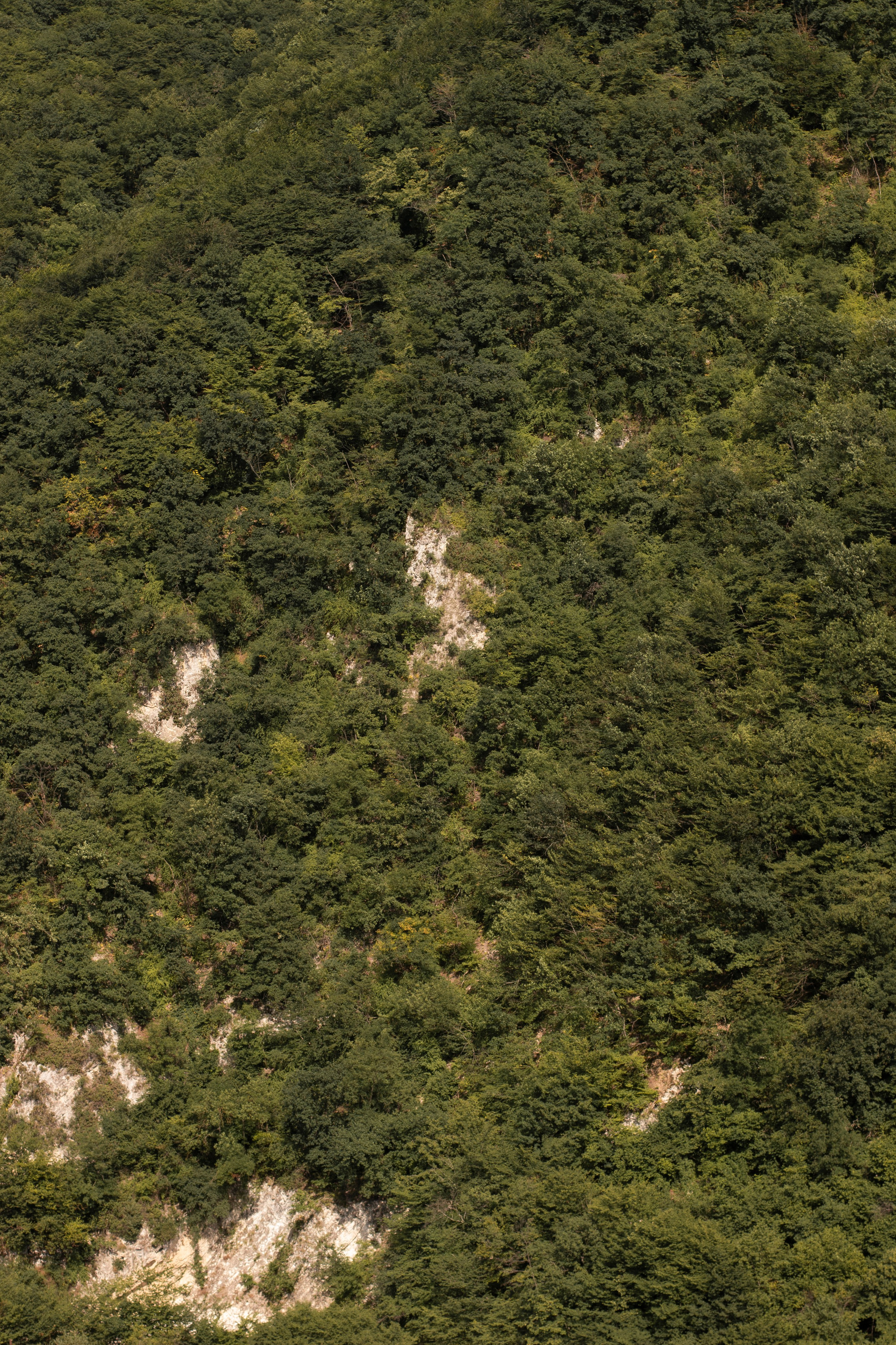 Замечаю жизнь. 2022. Фотограф Злата Спицына