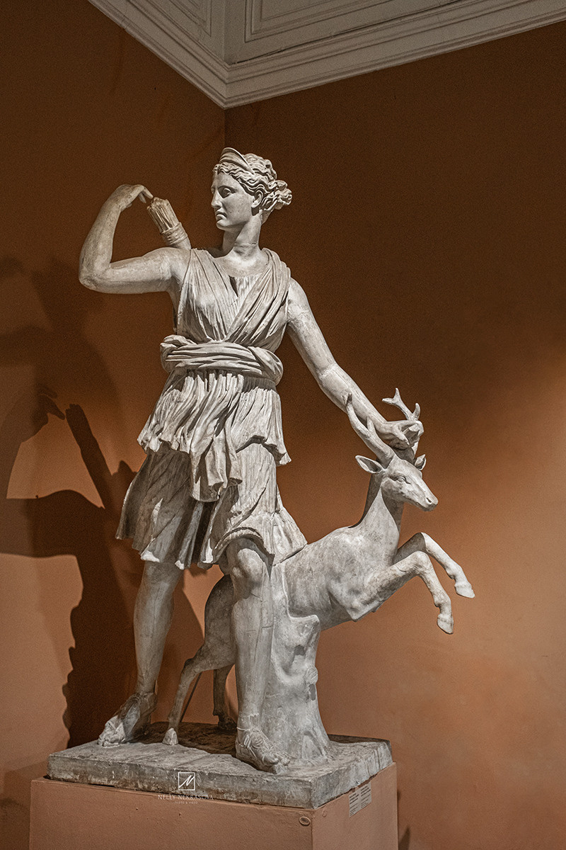 Музей Академии Художеств в Санкт-Петербурге. Фотограф и искусствовед в Туле и Санкт-Петербурге Нелли Некрасова