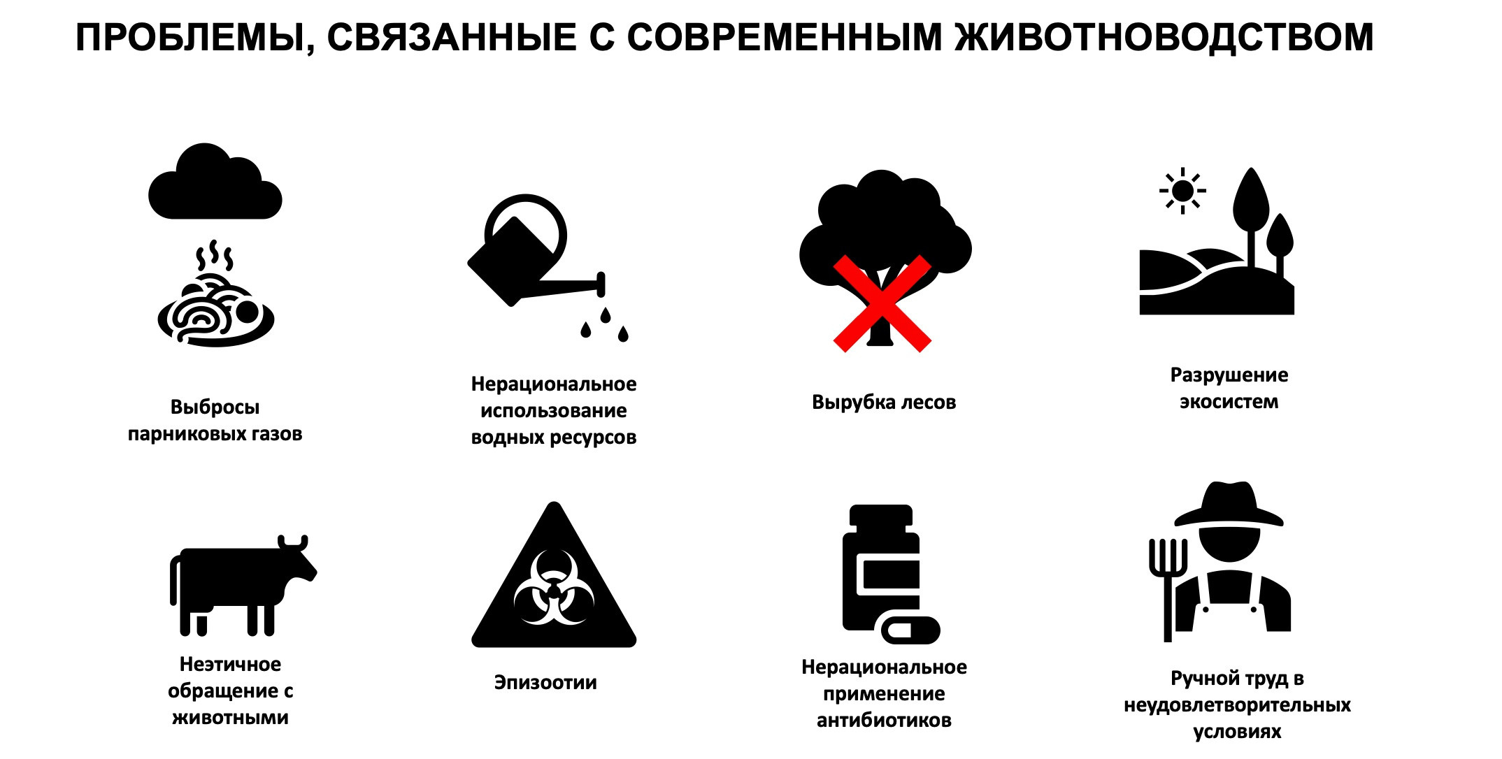Клеточное мясо. Главная
