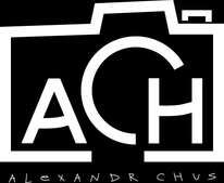 chusalexx.wfolio.pro