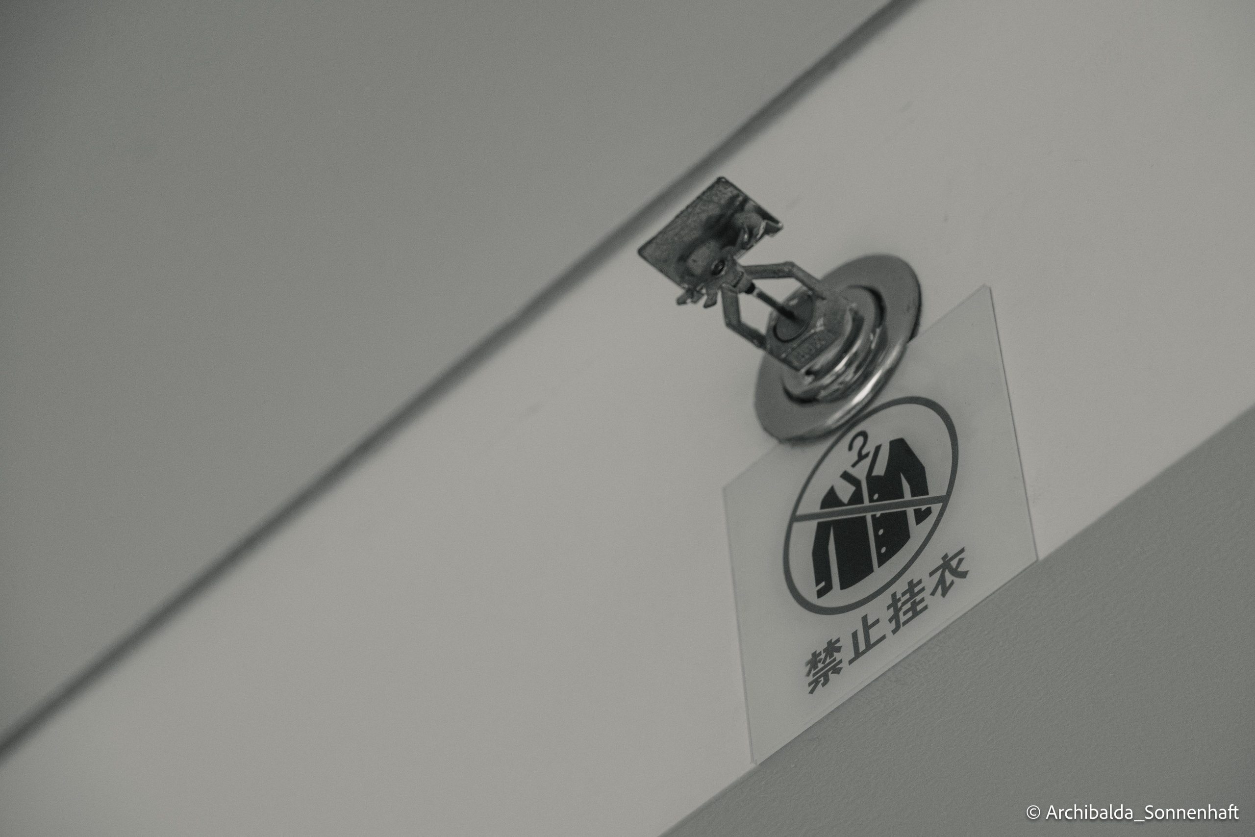 Tianjin-Beijin. Photographer in Guangzhou, China. Archibald Sonnenhaft