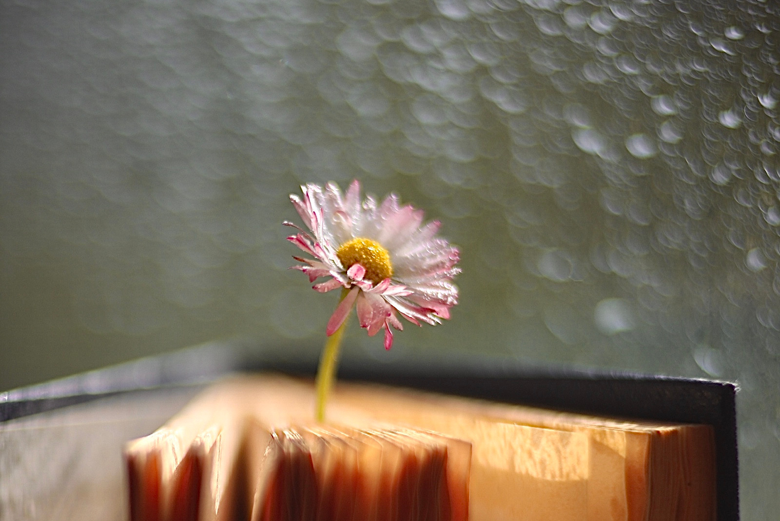 Обо мне. Главная