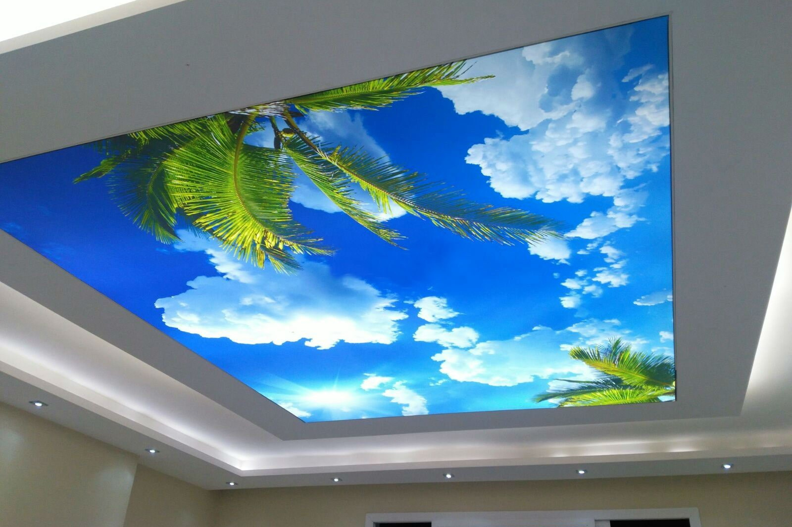 Эксклюзивные. Портфолио