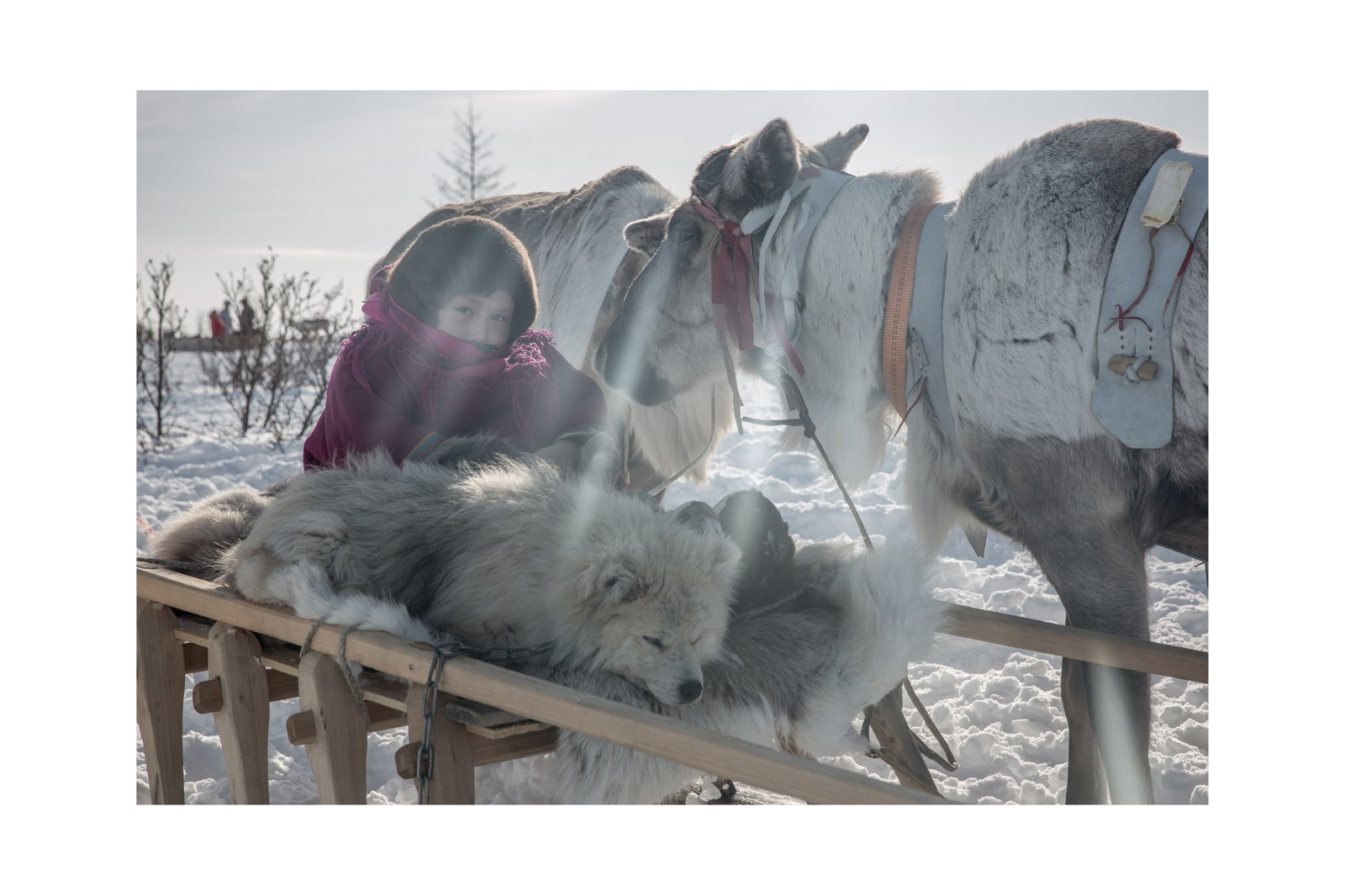 Купить фотографии. Yulia Nevskaya, documentary photographer and photojournalist