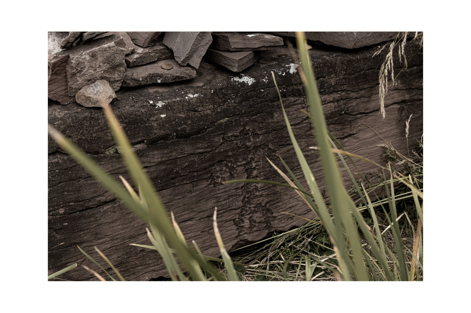 Купить фотографии. Yulia Nevskaya, documentary photographer and photojournalist