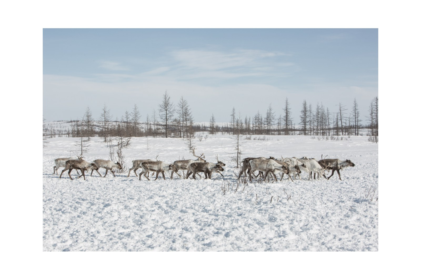Купить фотографии. Yulia Nevskaya, documentary photographer and photojournalist