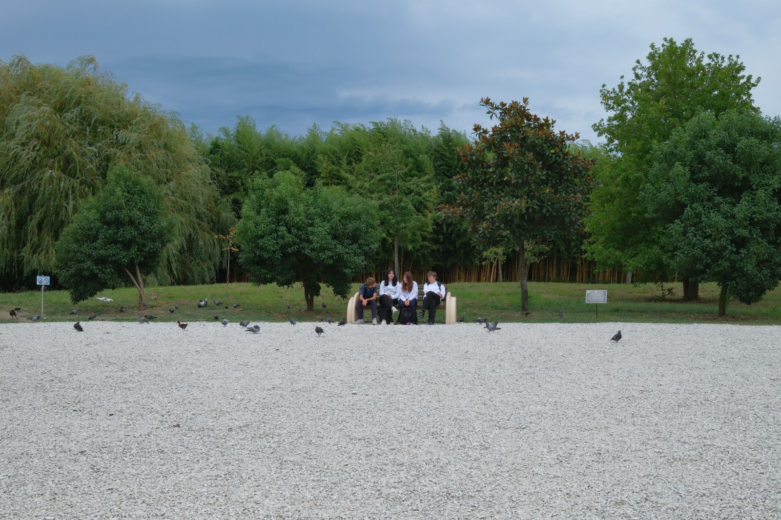 Спорт, пляж и некрасивые люди. Belugin Art