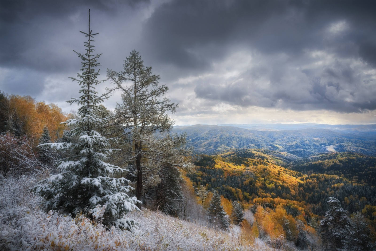 О себе через призму «Живой природы Алтая». Алёна Рубан. Профессиональный пейзажный фотограф Алёна Рубан