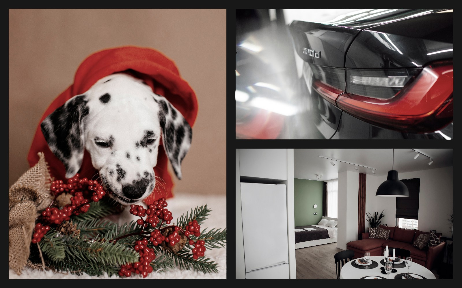 Фотограф Светлана Петрова