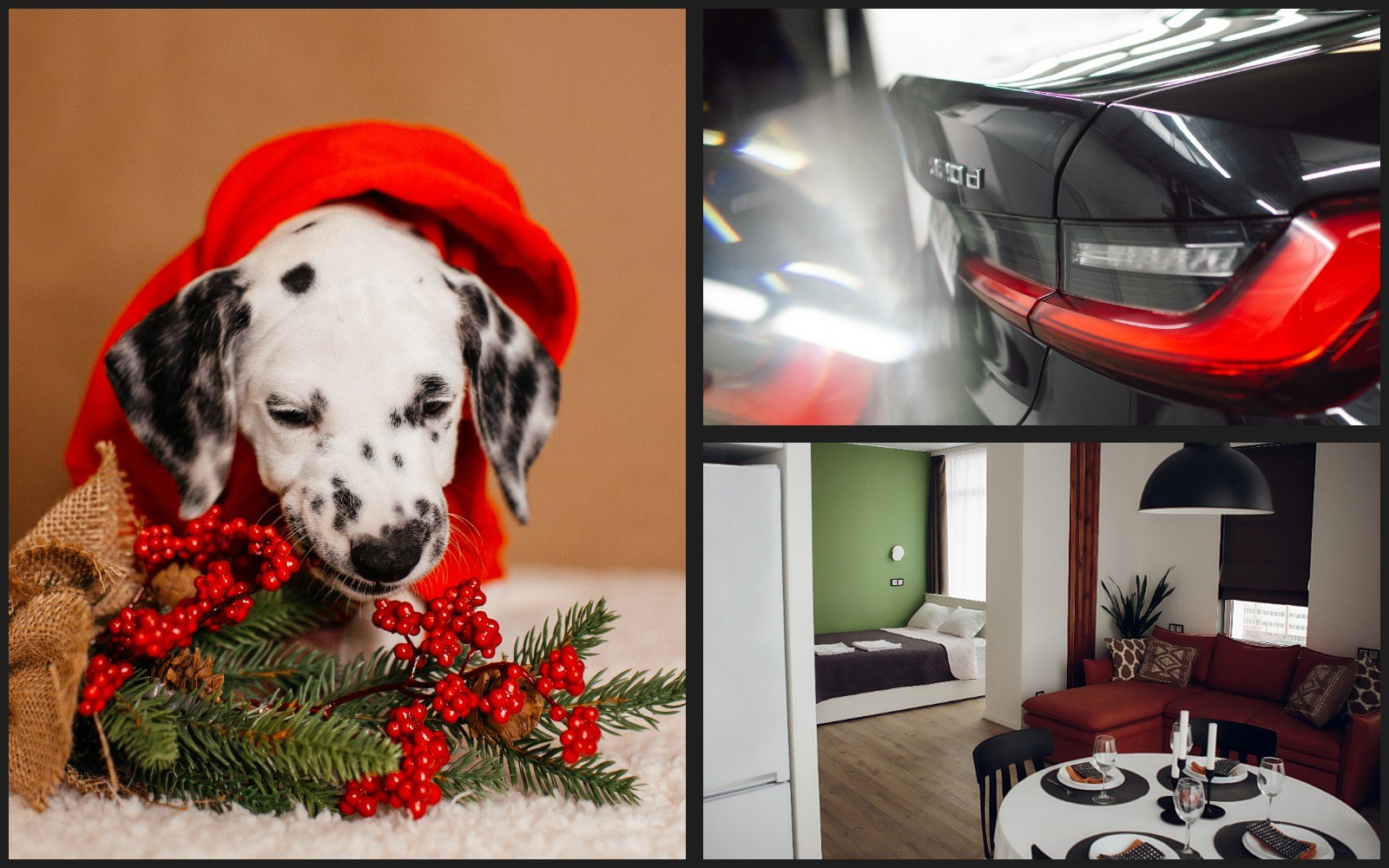 Услуги. Фотограф Светлана Петрова