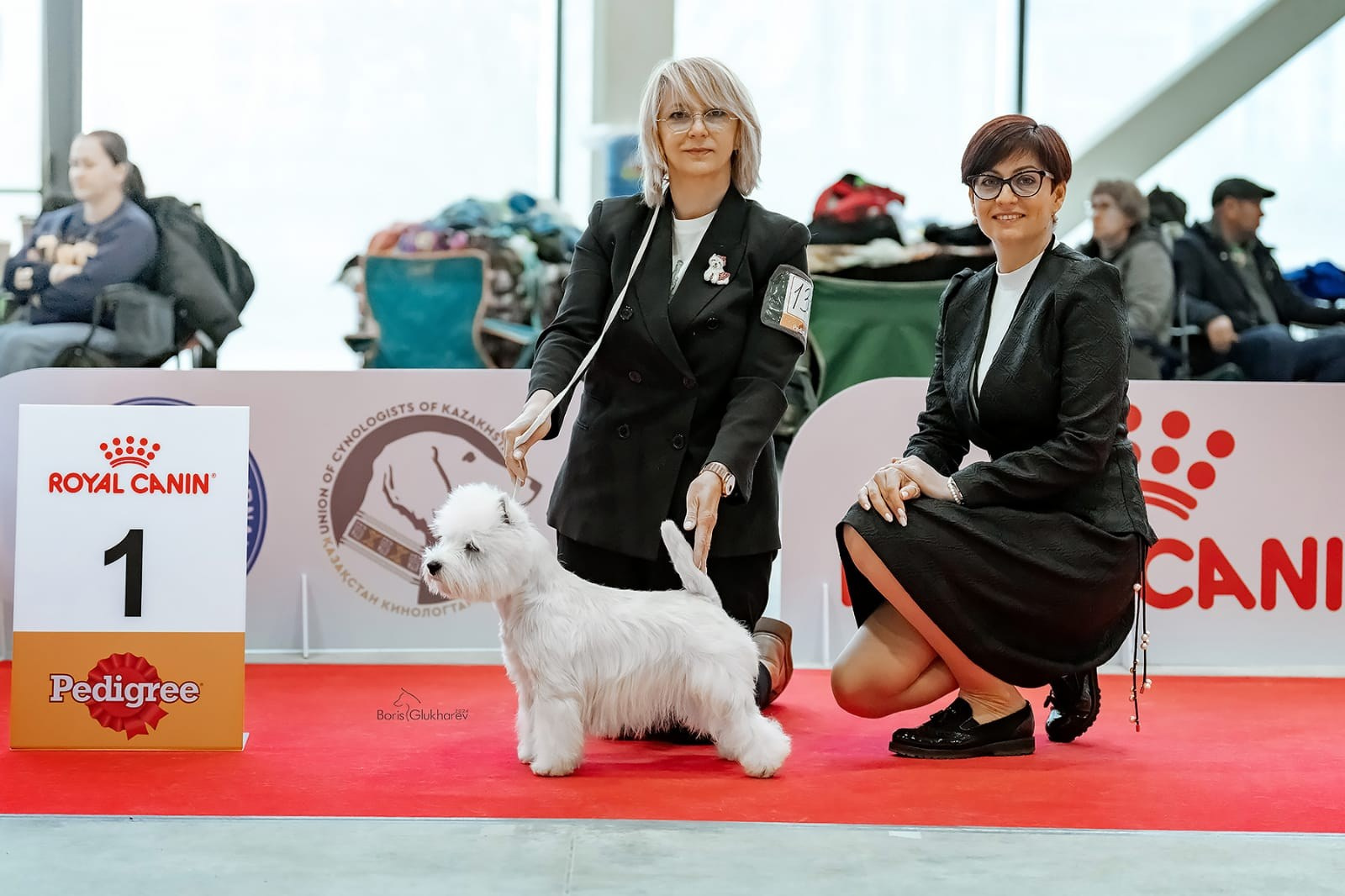 Международные выставки собак в Астане, Казахстан. Питомник собак породы вест хайленд вайт терьер в Москве