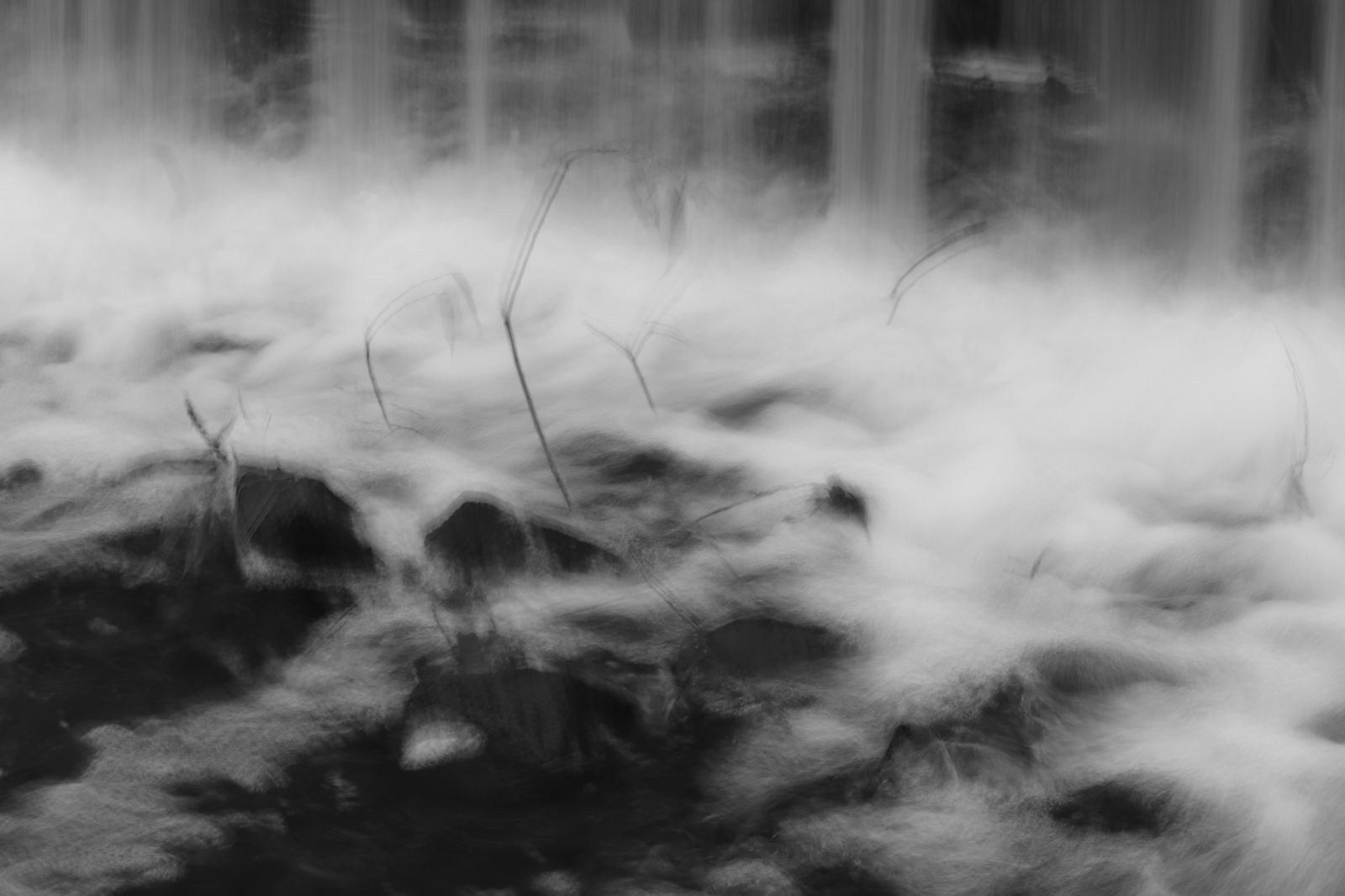 Нестеренко Евгения. Организация фотовыставок в Петербурге и Москве, MFamilia (МФамилия)