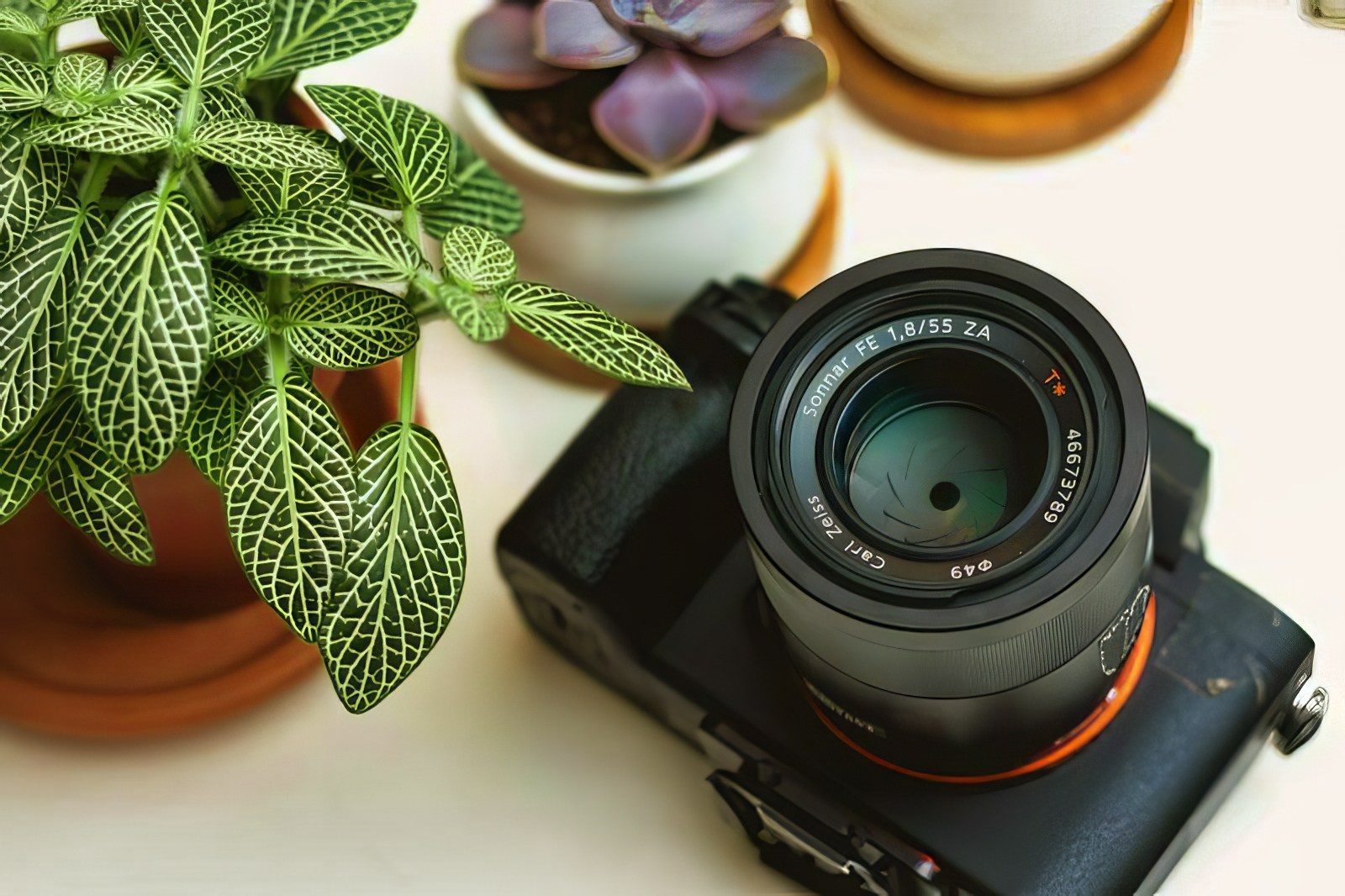 Нужен ли Вам Полный Кадр?. Сафронов Иван — портретный фотограф в Москве