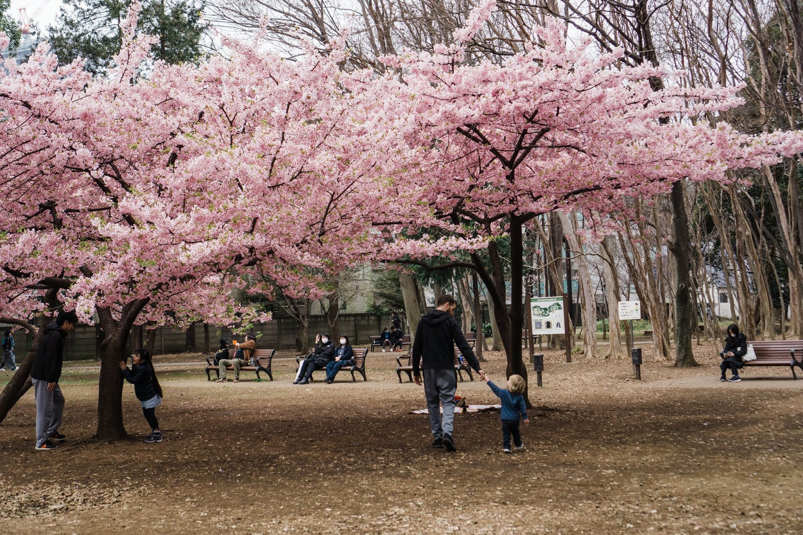 Календарь Цветения в Санкт-Петербурге. Отличные фотографии своих близких, своего бизнеса или даже себя. СПб