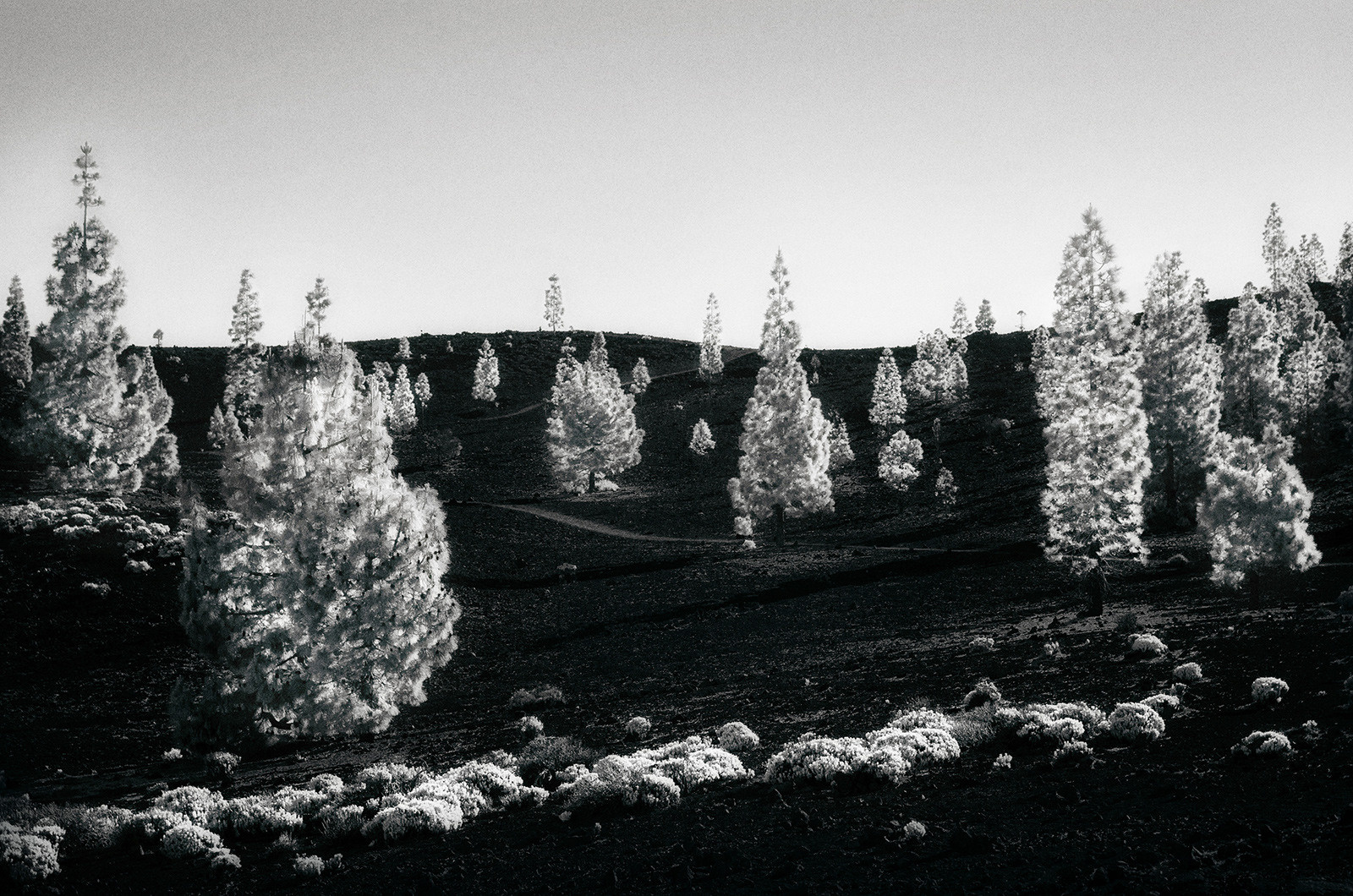 Caldera. Андрей Бортников. Рекламный фотограф в Грузии