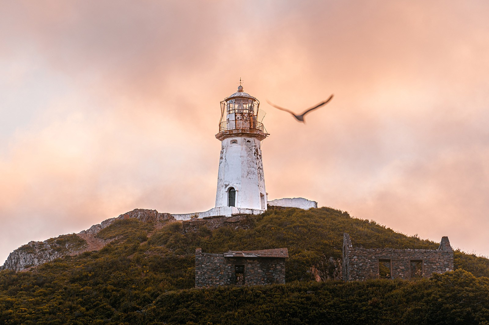 Маяк Рудный. Ivan Zaitsev (IZIART) — creating a cultural code through photo and video