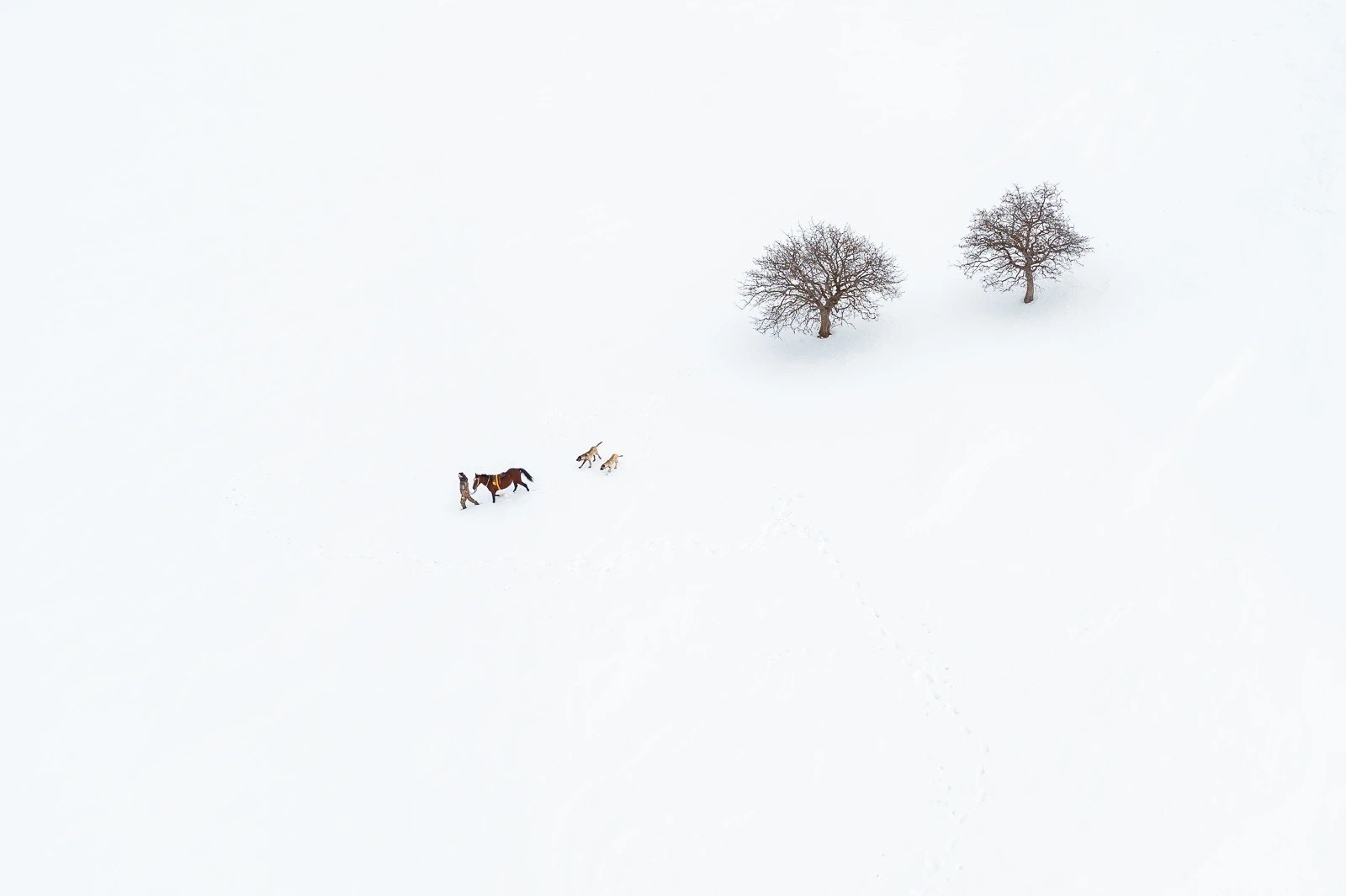 Что сегодня считается минимализмом? Разбираем победителей Minimalist Photography Awards 2026. Фотограф Константин Шамин